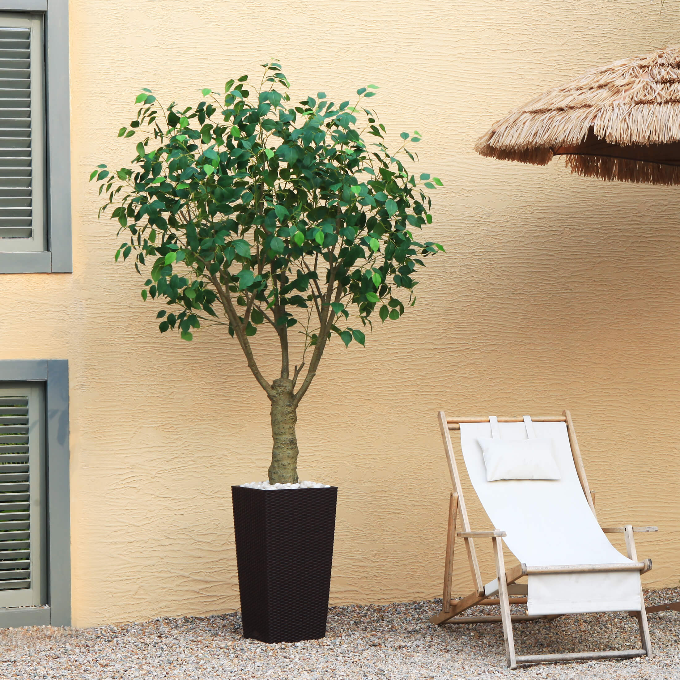 #size_7ft, #color_brown