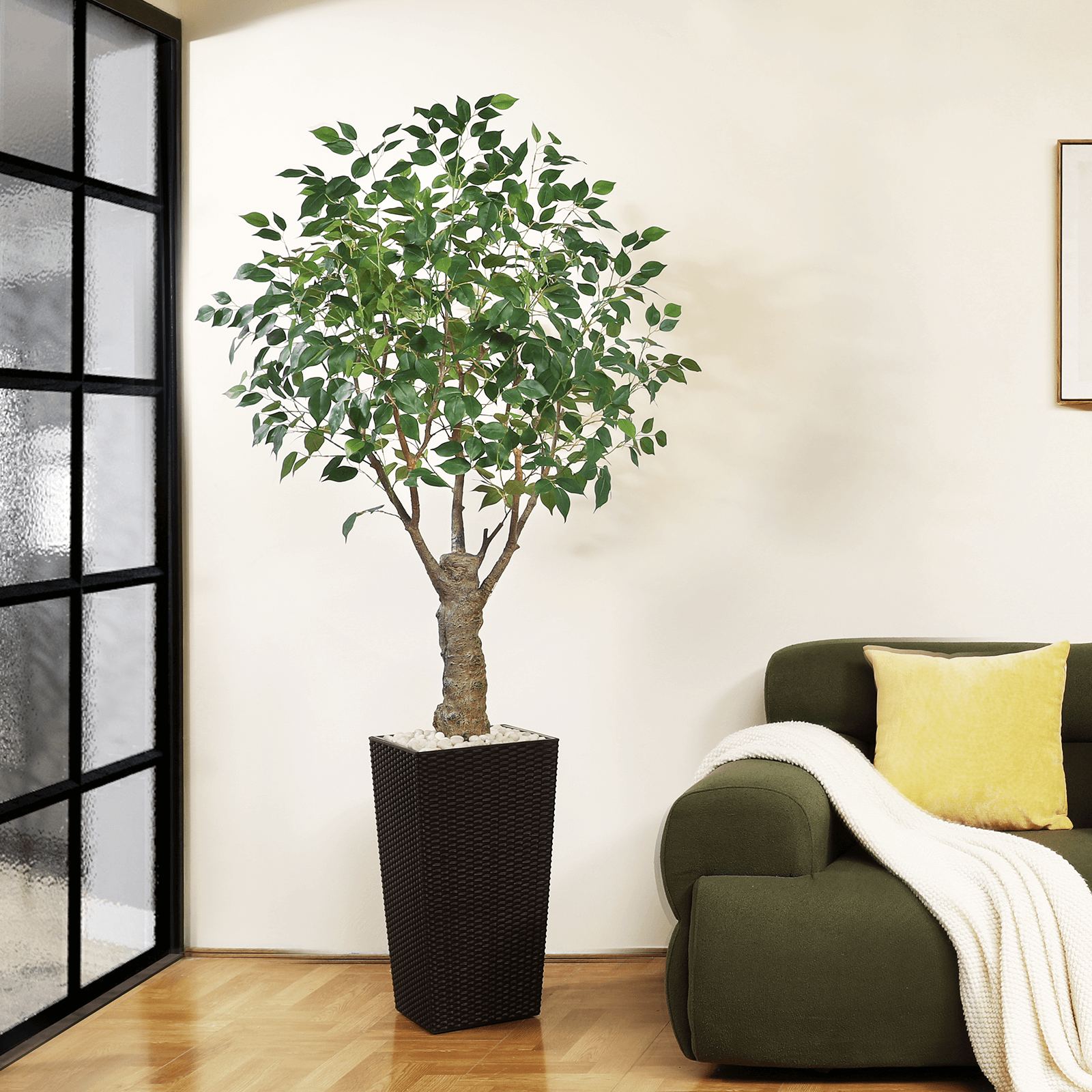 #size_6ft, #color_brown