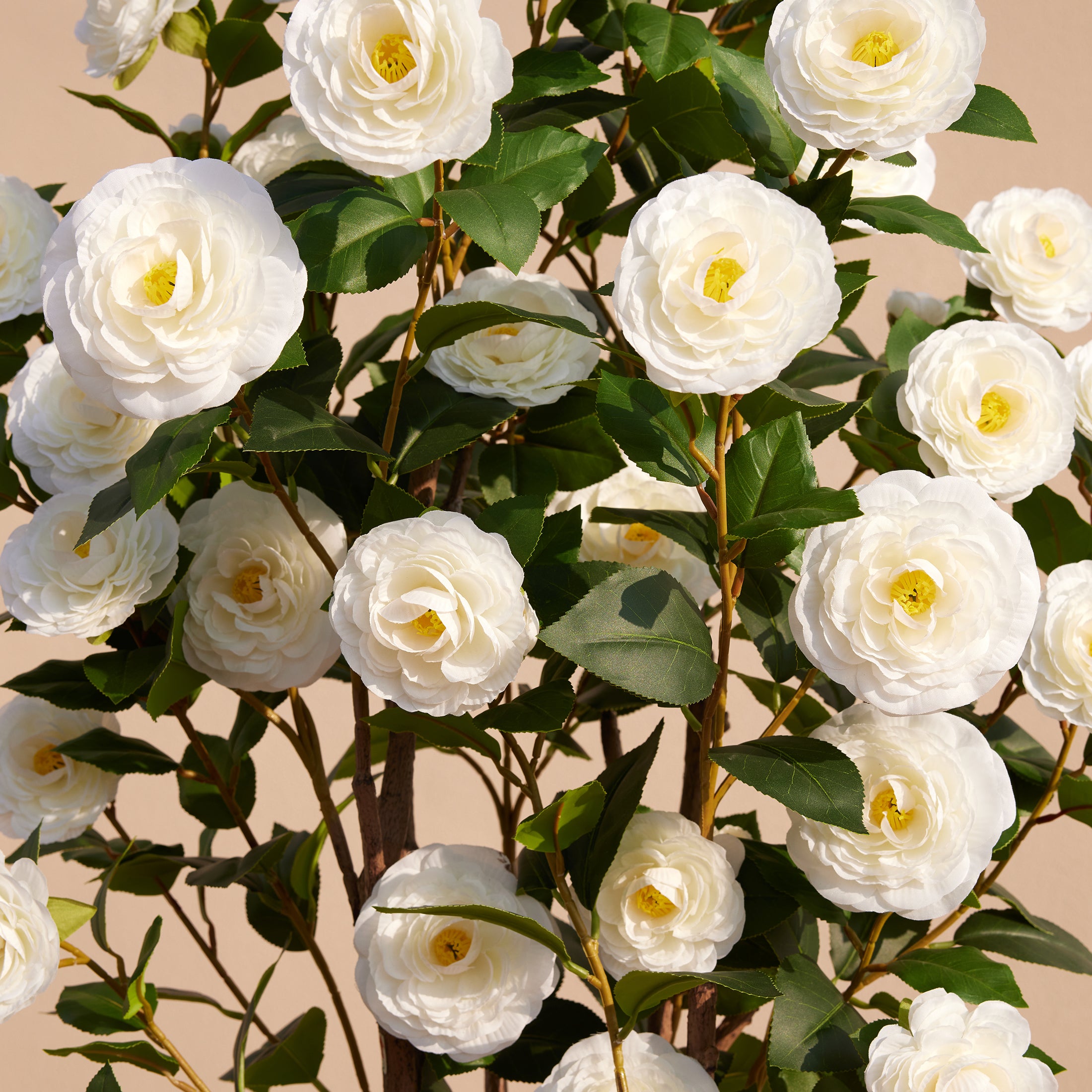 VeriNatural Artificial Camellia Tree – 3 /4ft UV-Resistant Outdoor Silk Flowers, Small Potted Set of 2, Perfect for Tabletop, Porch & Home Decor
