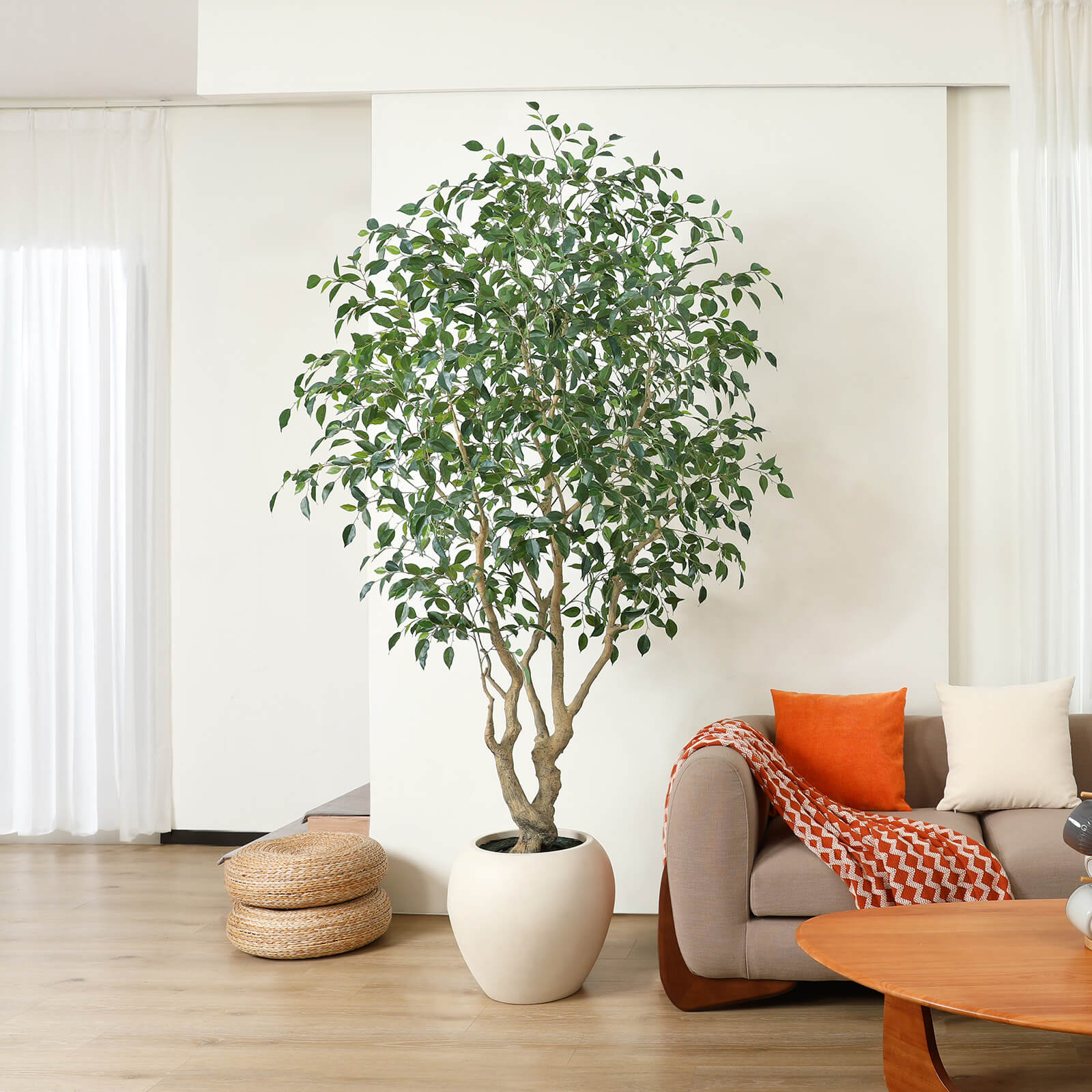 VeriNatural 8FT Artificial Ficus Tree with Custom White Pot for Indoor