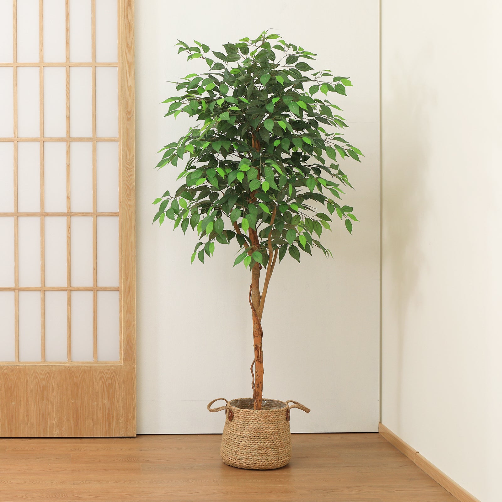 VeriNatural 6FT Faux Ficus Tree – Indoor Plant Decor with Natural Wood Trunk