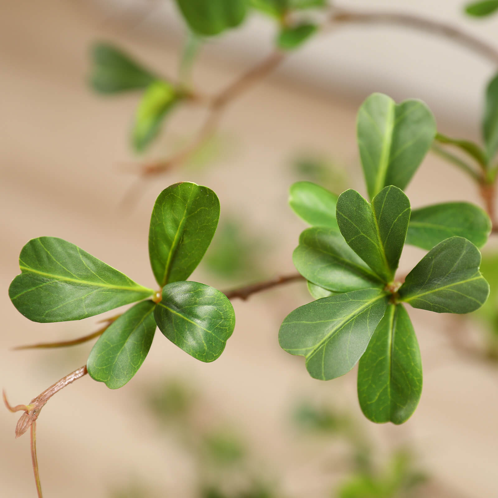 VeriNatural 5/6/7FT Artificial Black Olive Tree with White Planter for Indoor