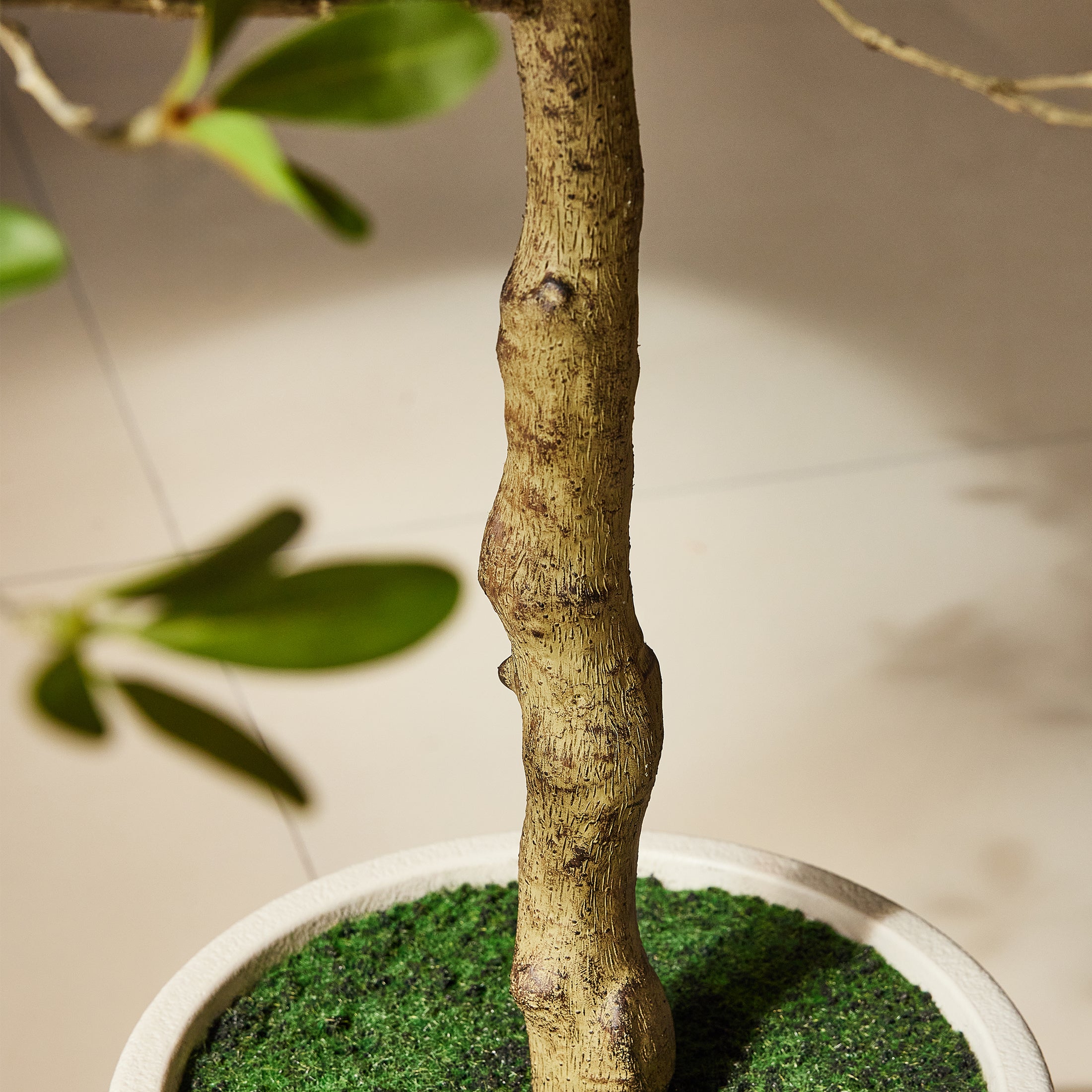 VeriNatural Artificial Black Olive Tree 7/8/9/10FT with White Planter, Faux Olive Tree for Indoor Outdoor Home Decor & Housewarming Gift(VN232)