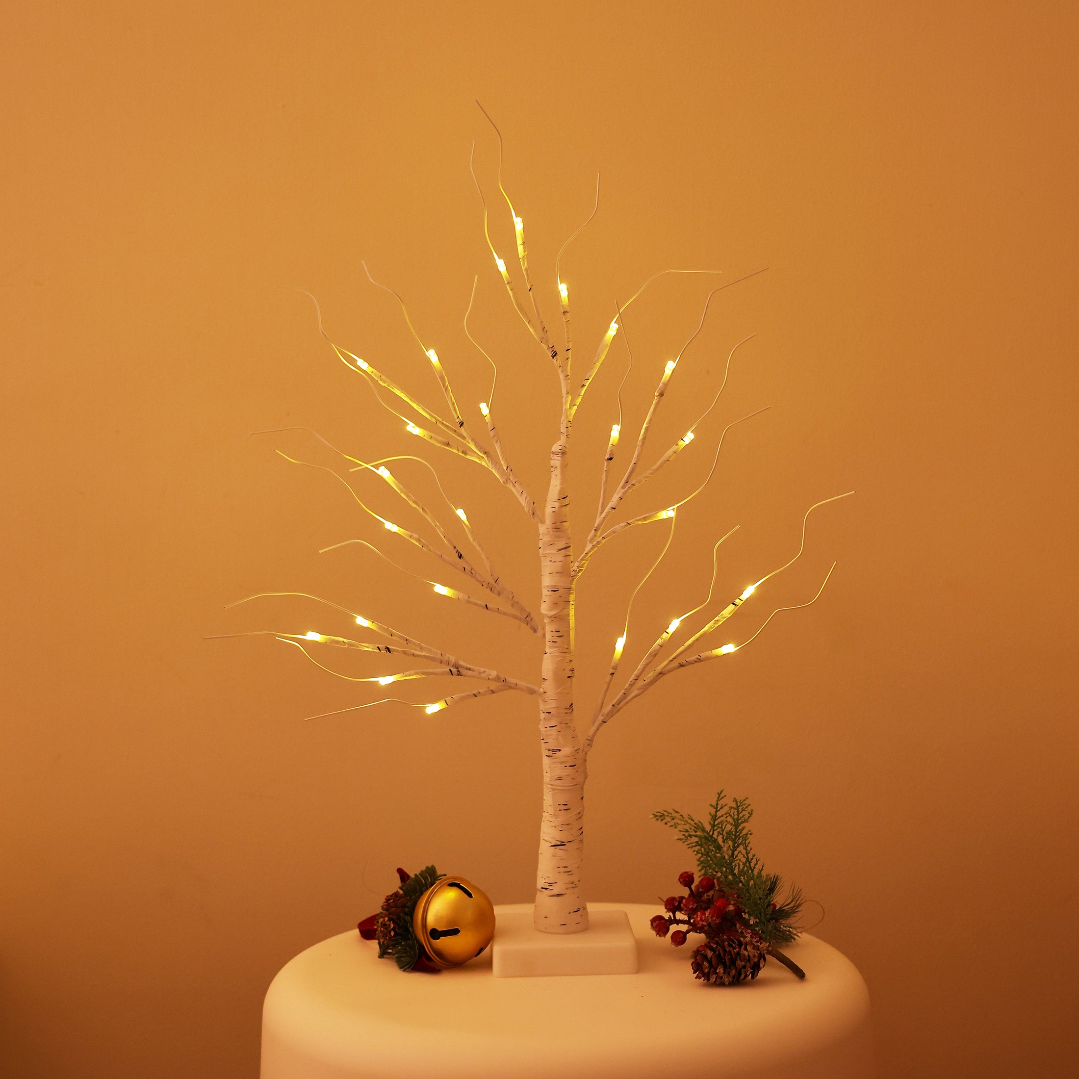 VeriNatural 2FT Lighted Birch Tree with LED Lights – USB Powered Christmas Decorations (2-Pack), Warm White Fairy Tree Lights for Indoor Holiday & Home Decor