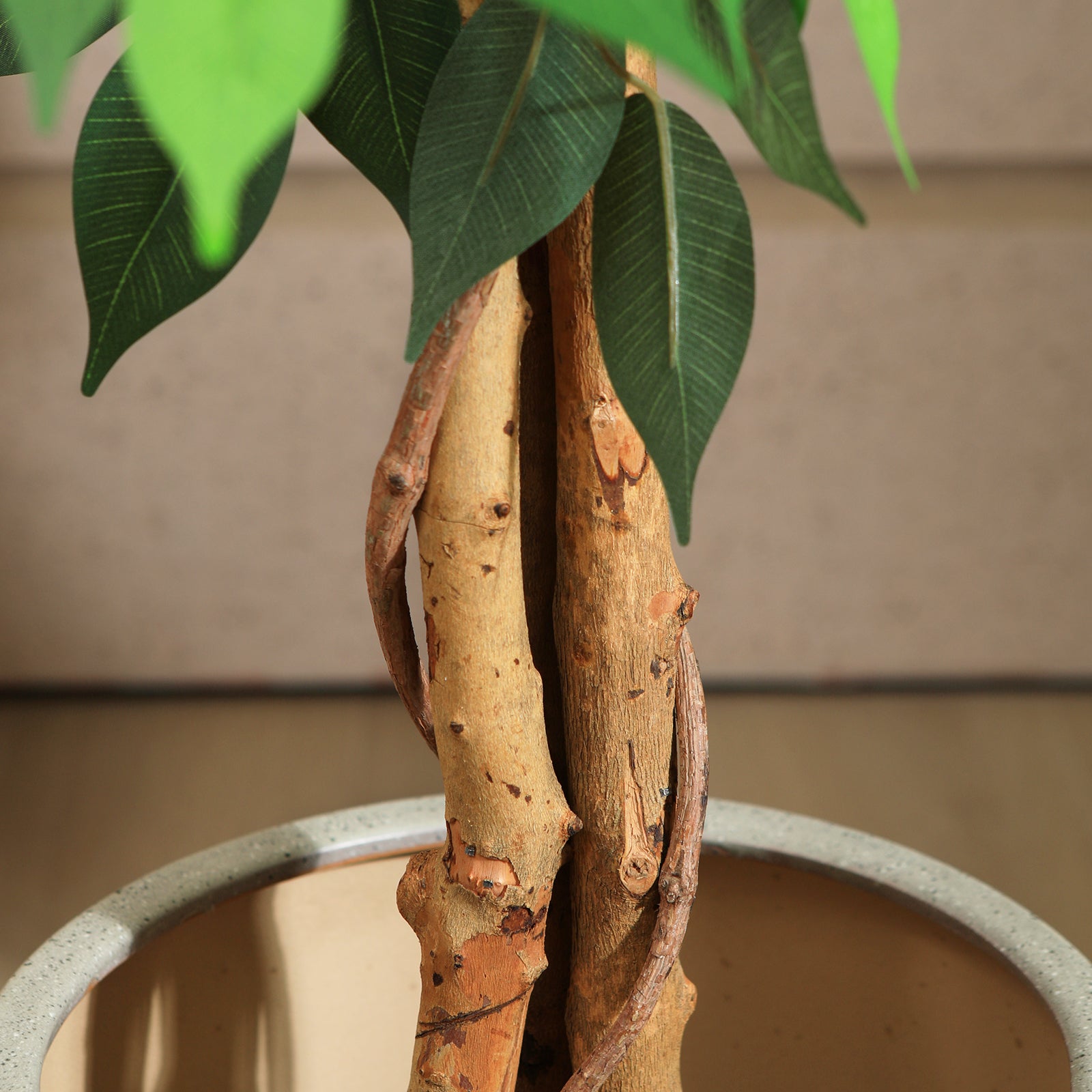 VeriNatural 4/5/6/7FT Faux Ficus Tree – Indoor Plant Decor with Natural Wood Trunk