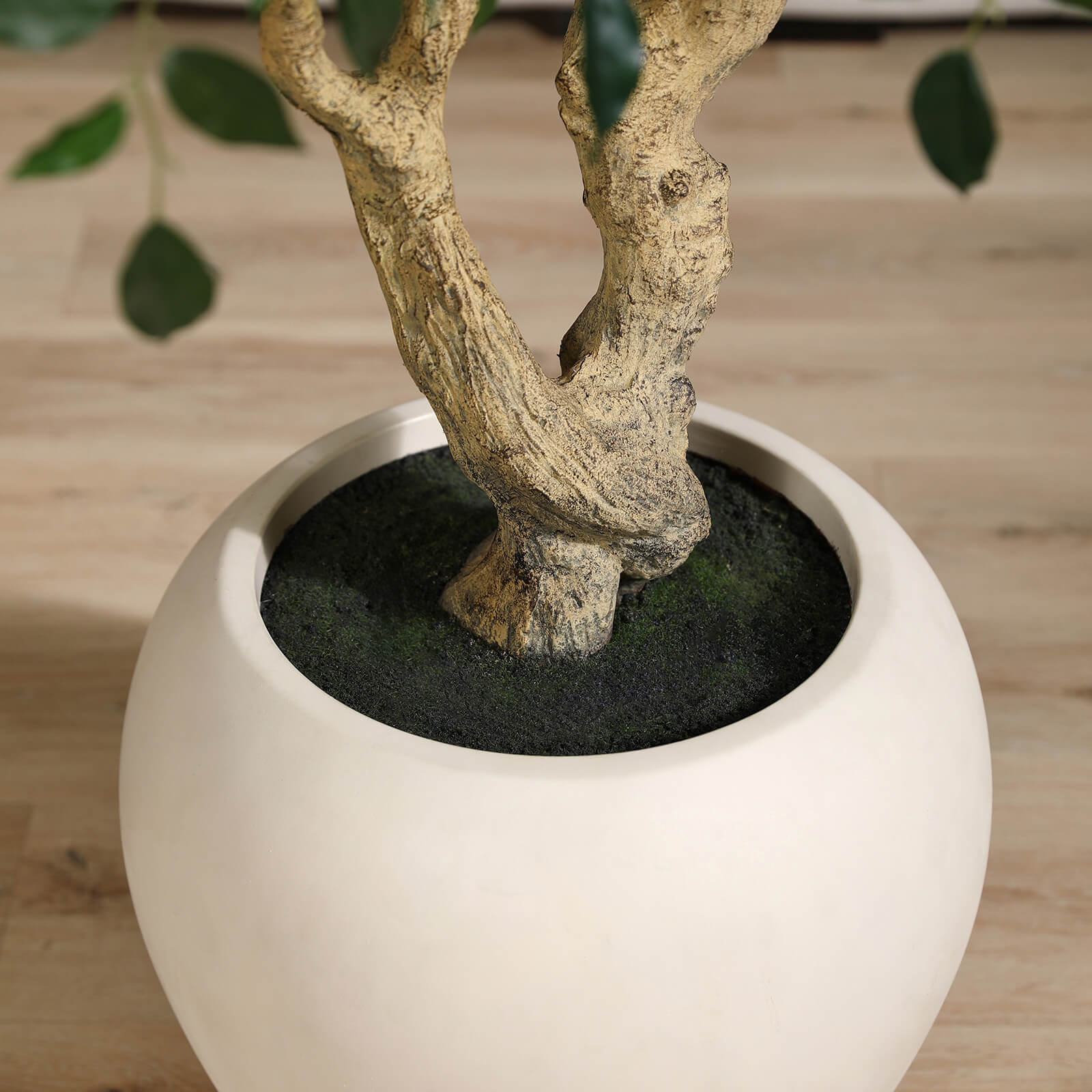 VeriNatural 8FT Artificial Ficus Tree with Custom White Pot for Indoor