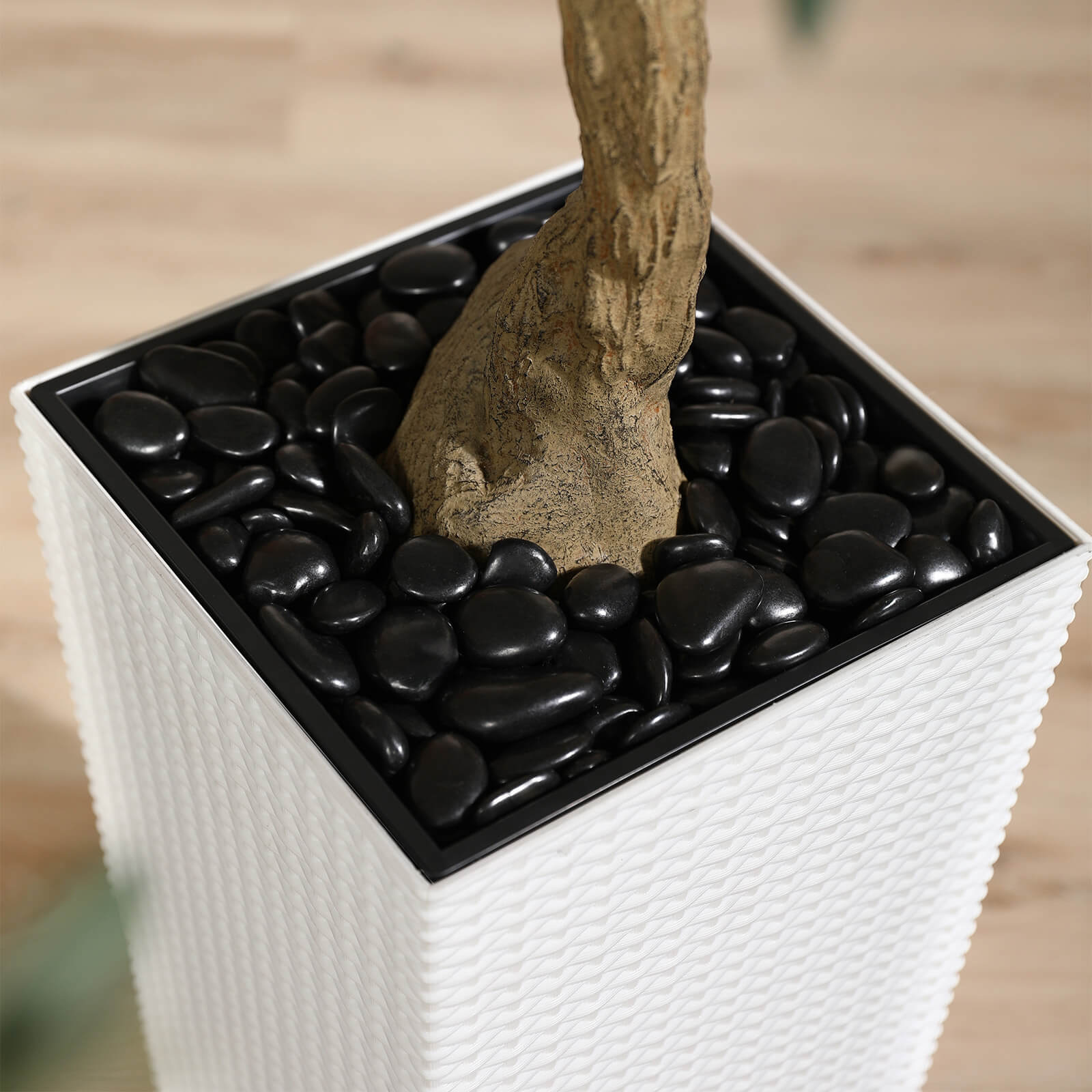 #size_6ft,#color_white