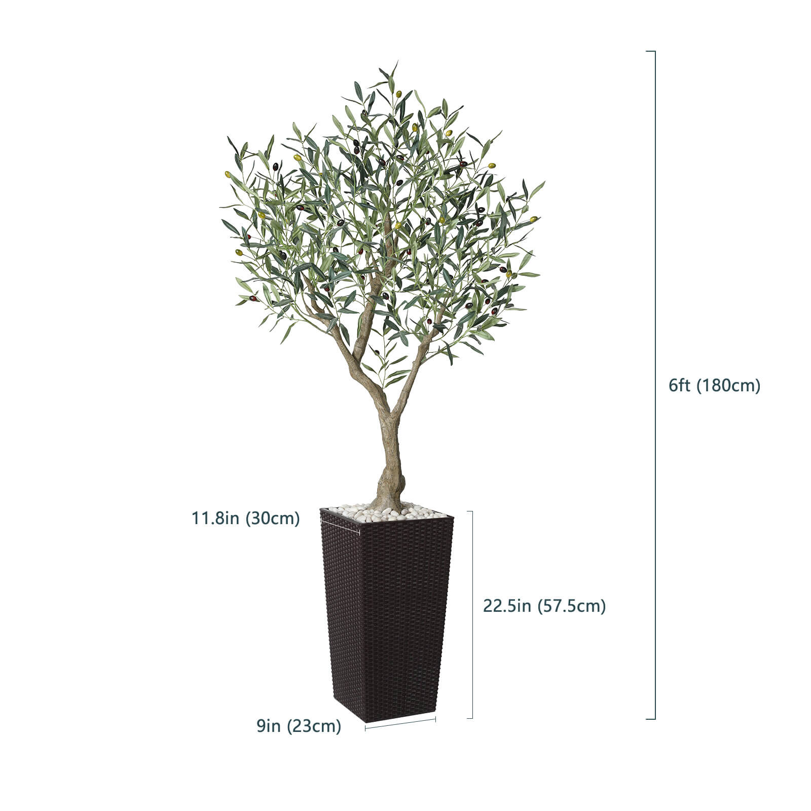 #size_6ft,#color_brown