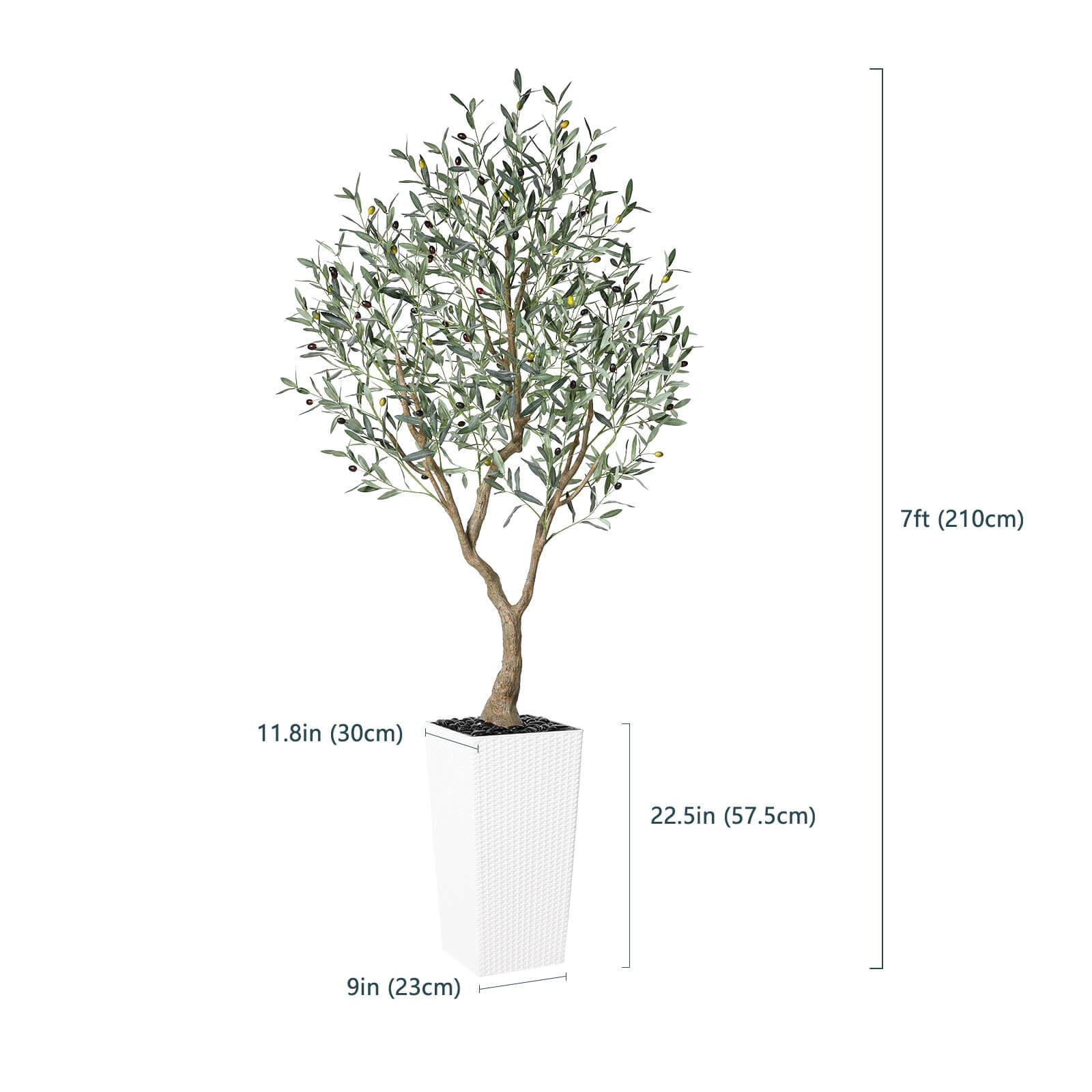 #size_7ft,#color_white