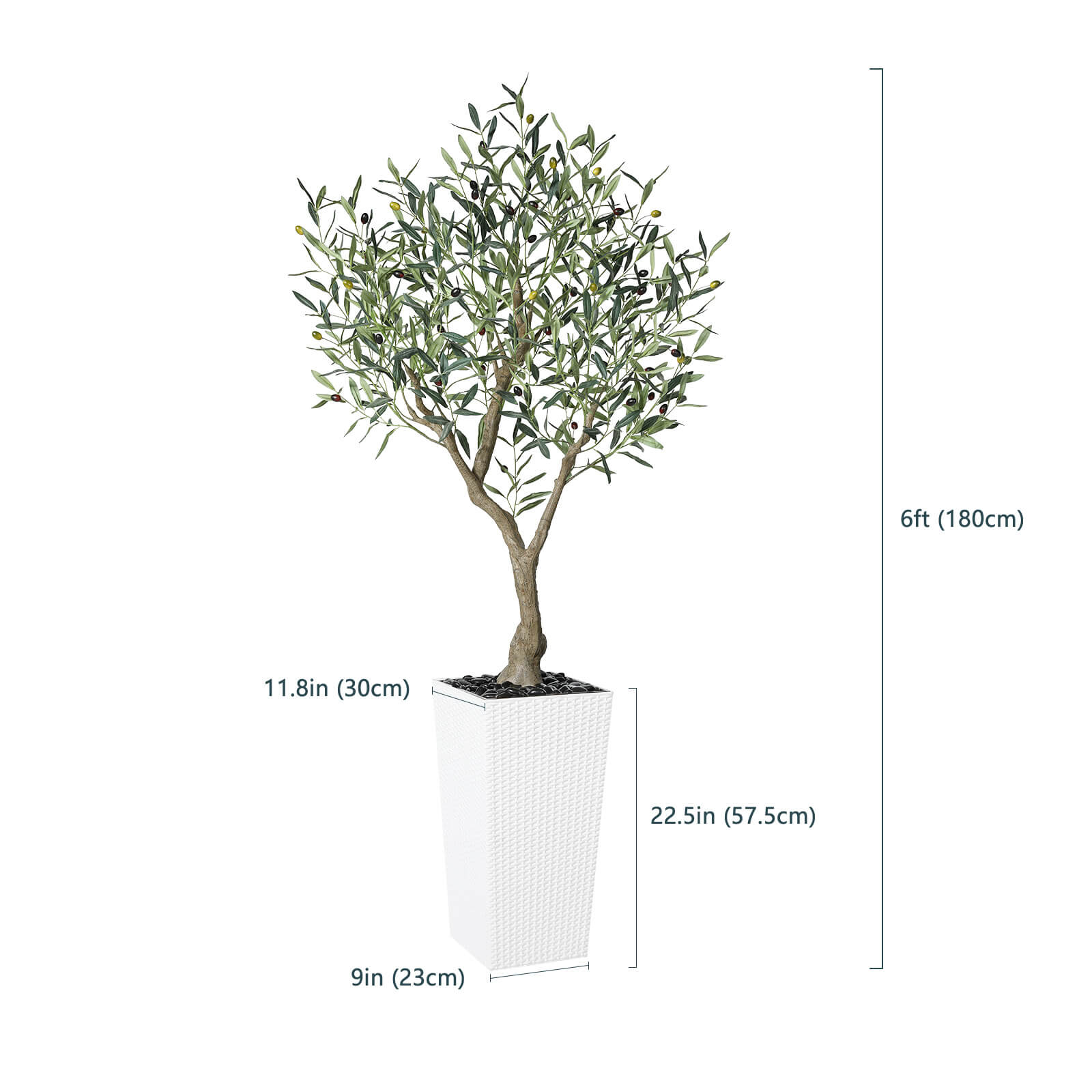 #size_6ft,#color_white