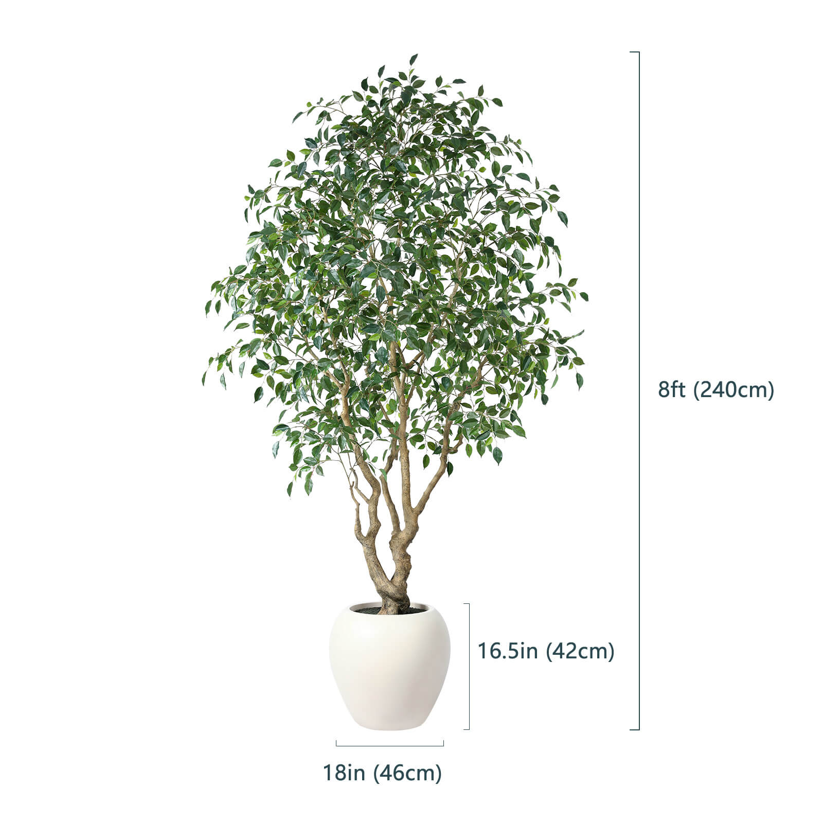 VeriNatural 8FT Artificial Ficus Tree with Custom White Pot for Indoor