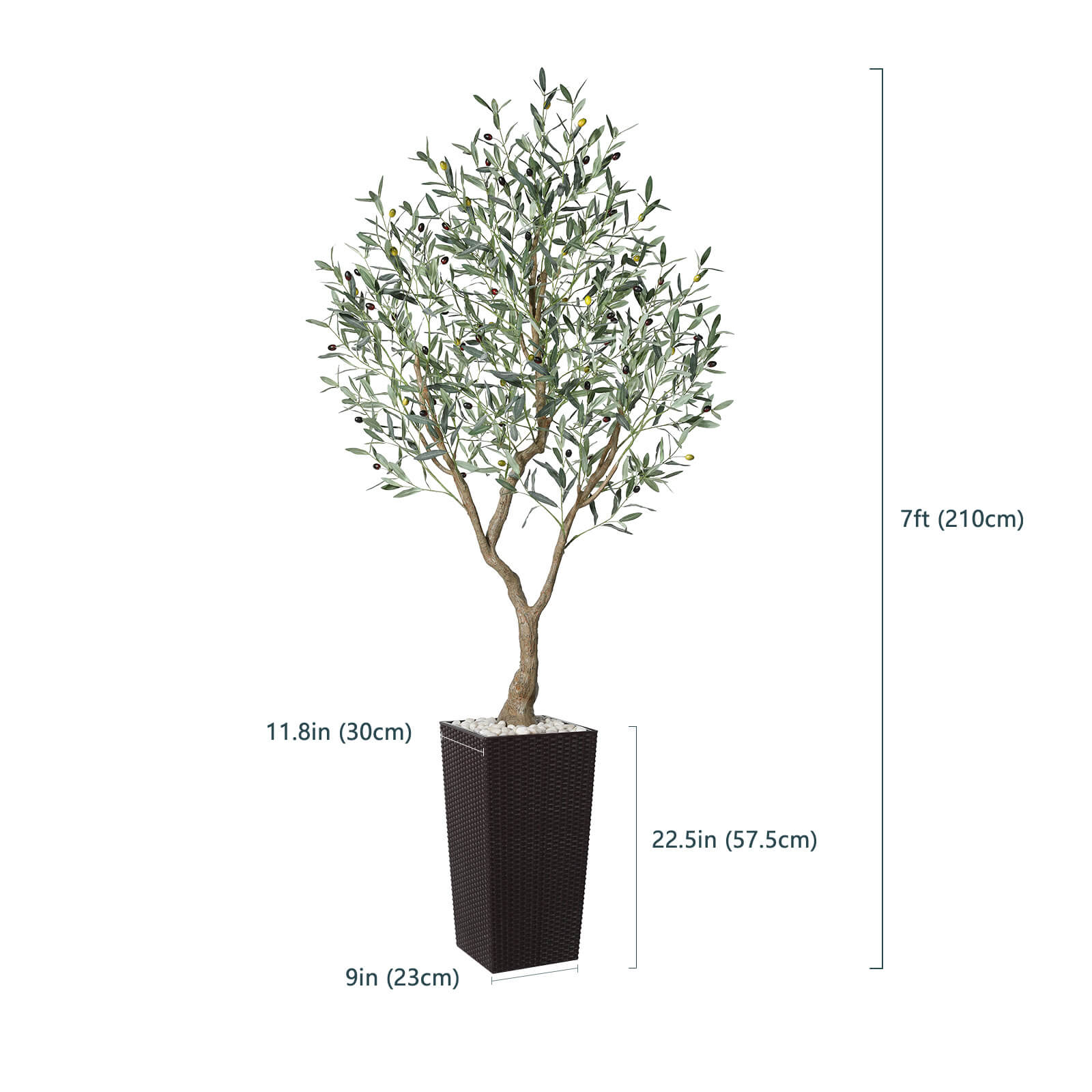 #size_7ft,#color_brown