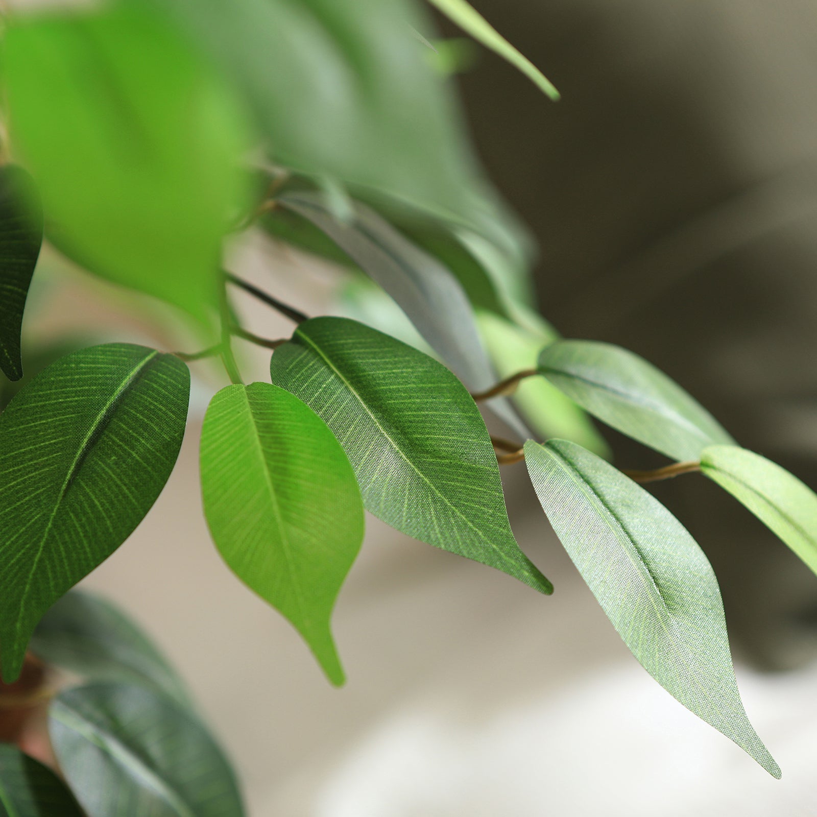 VeriNatural 6FT Faux Ficus Tree β Indoor Plant Decor with Natural Wood Trunk