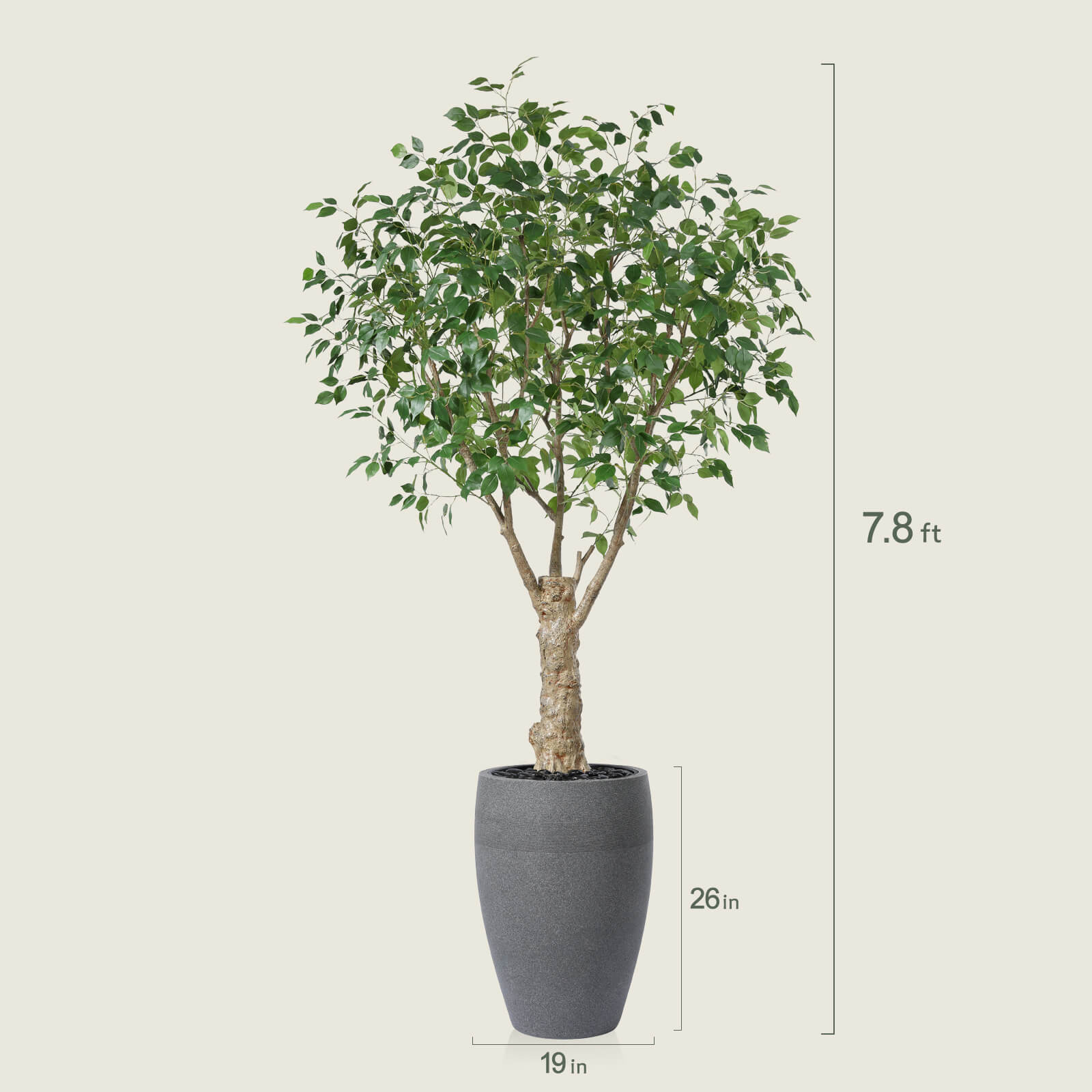 VeriNatural 8FT Artificial Ficus Tree with Gray Cylinder Planter for Indoor & Outdoor
