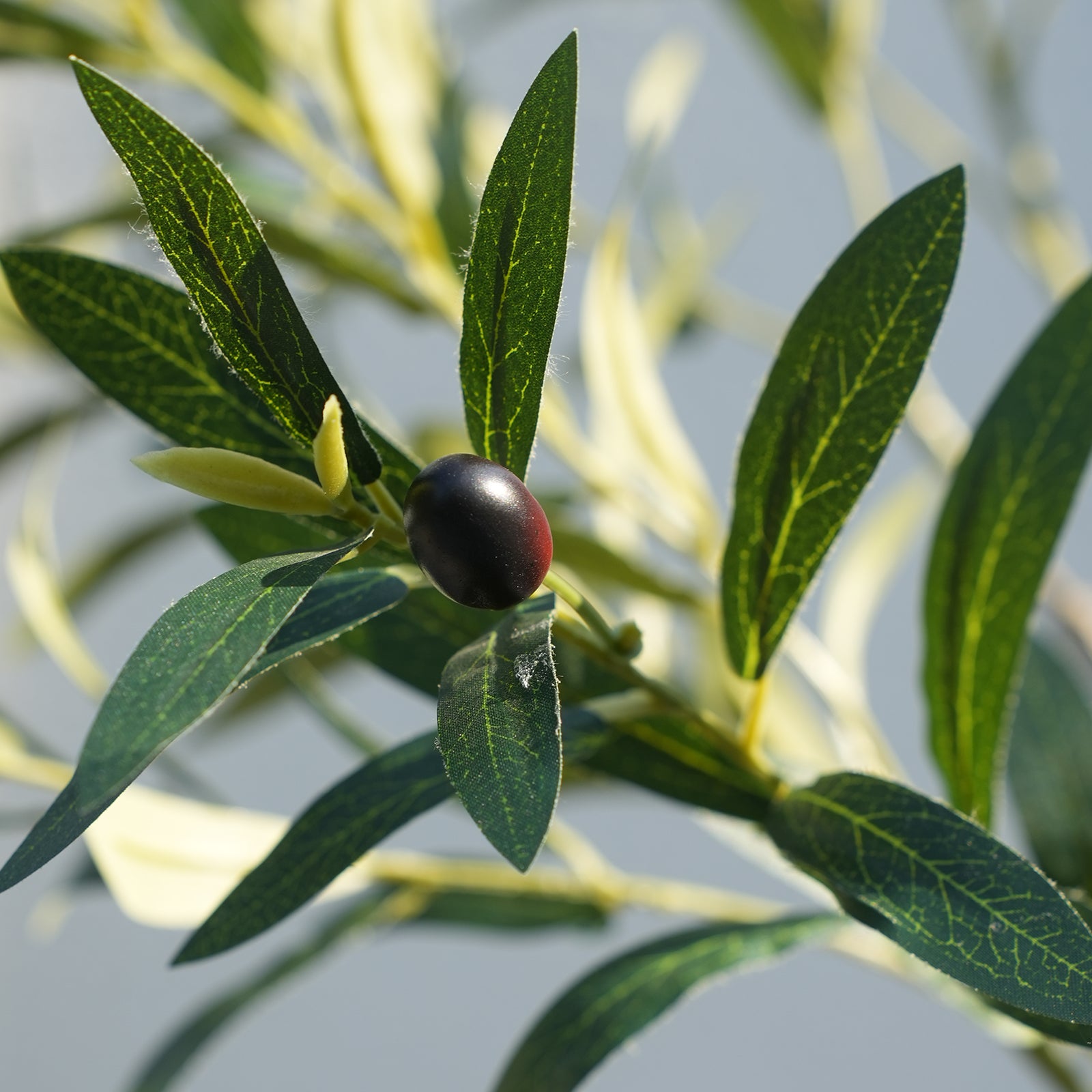 VeriNatural 5/6FT Artificial Olive Tree UV Resistant with Black/White Taper Planter for Indoor & Outdoor(VN137)