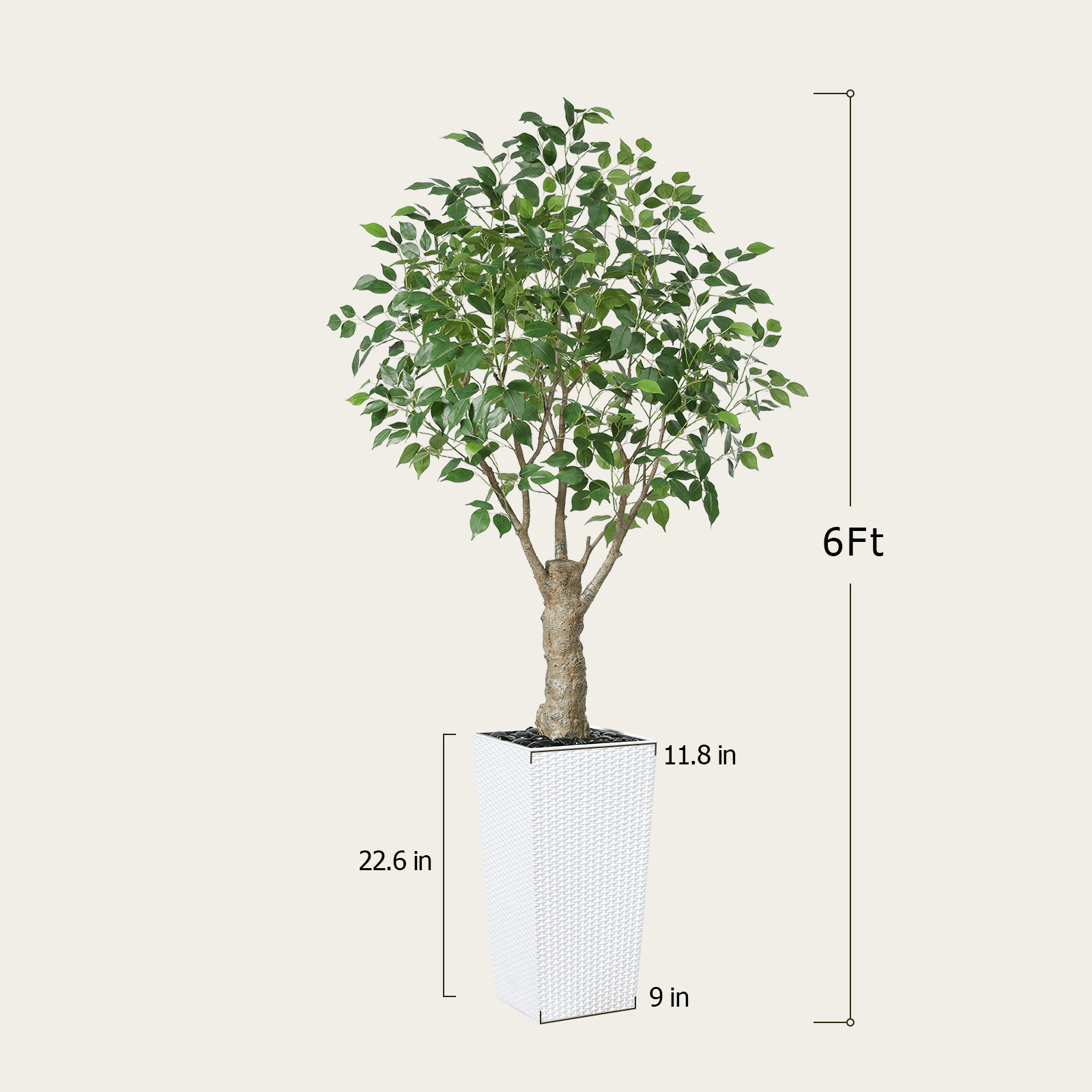 #size_6ft, #color_white