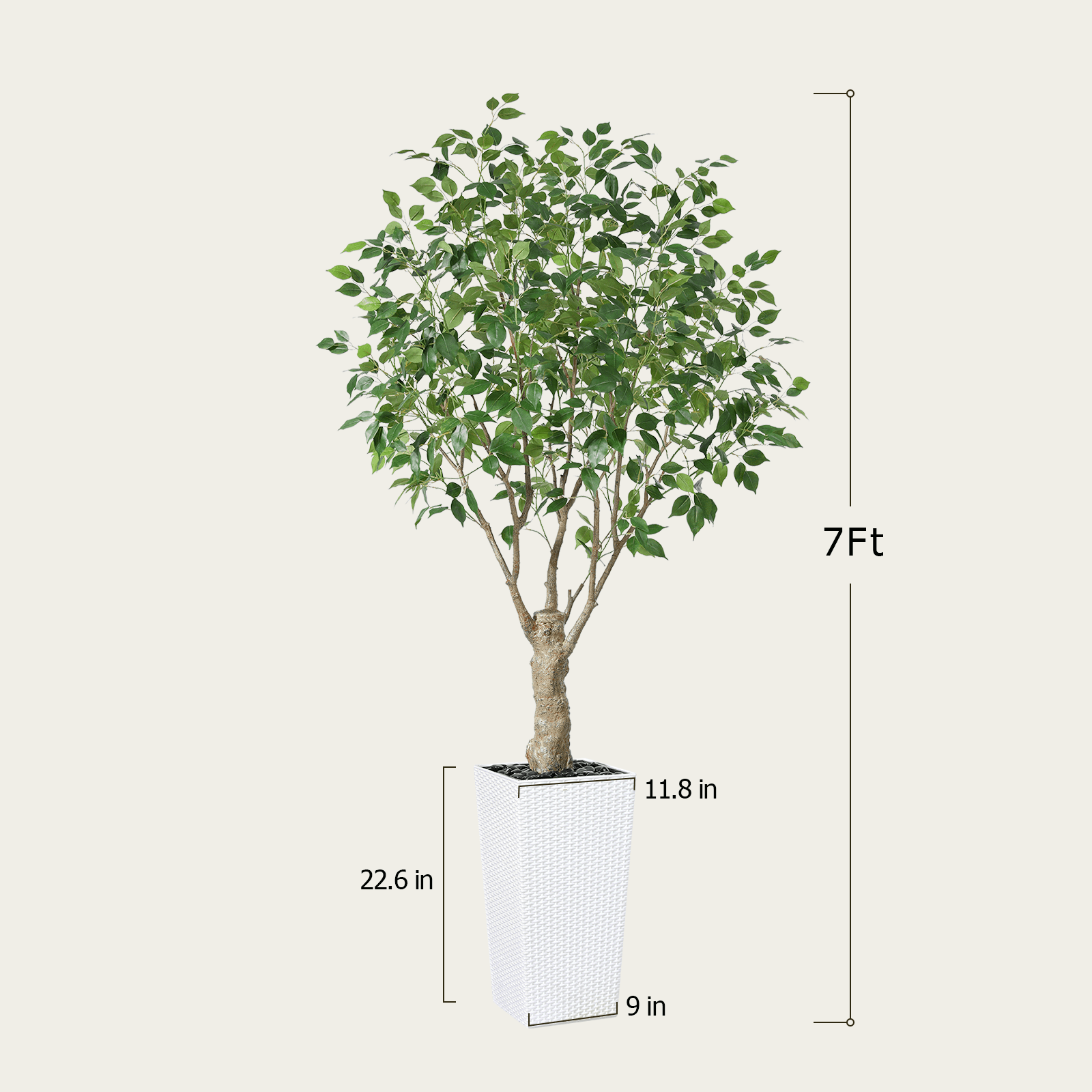 #size_7ft, #color_white