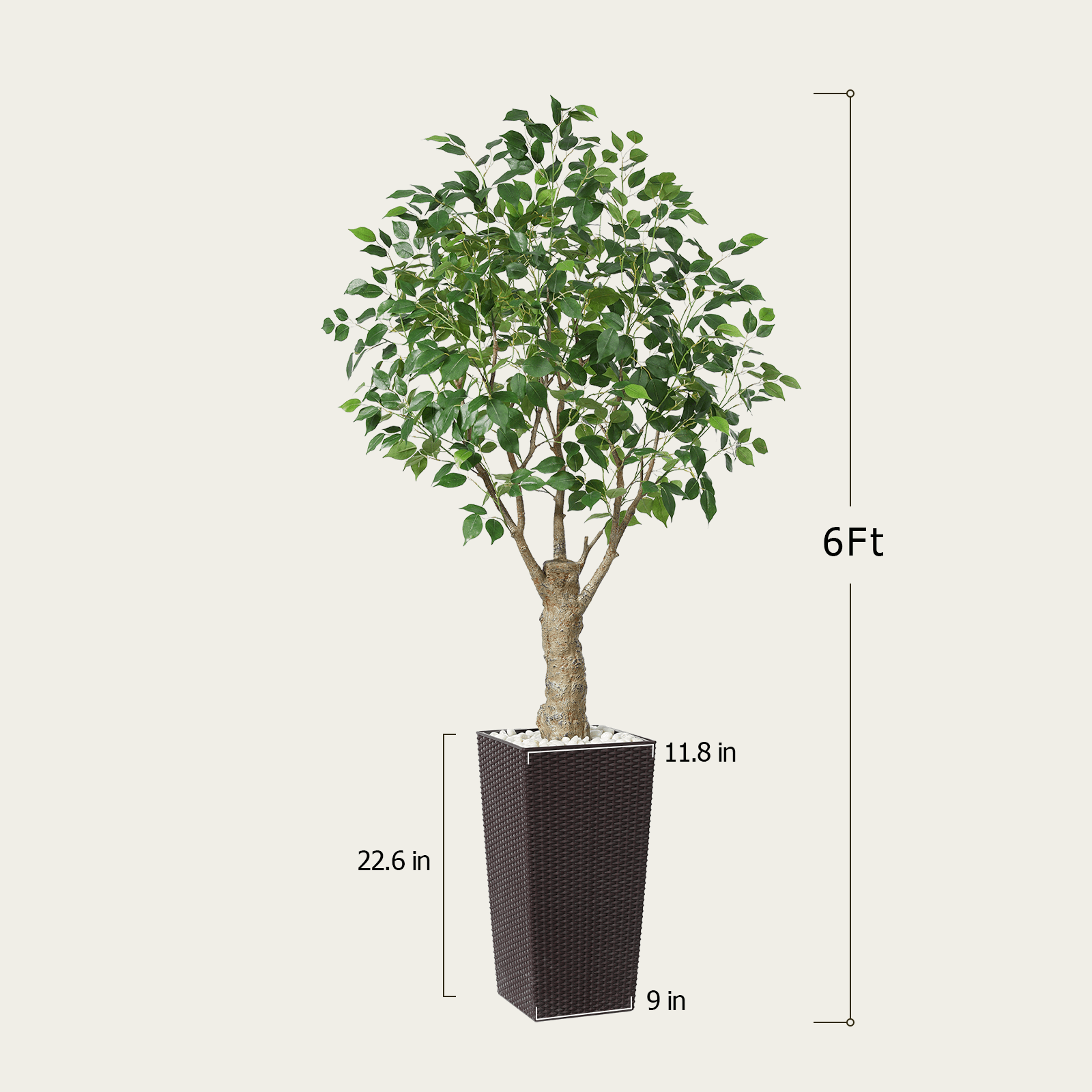 #size_6ft, #color_brown