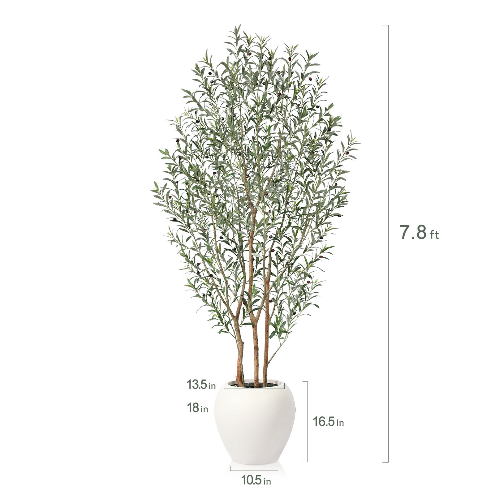 VeriNatural 8FT Artificial Real Trunks Olive Tree with Custom White Pot for Indoor