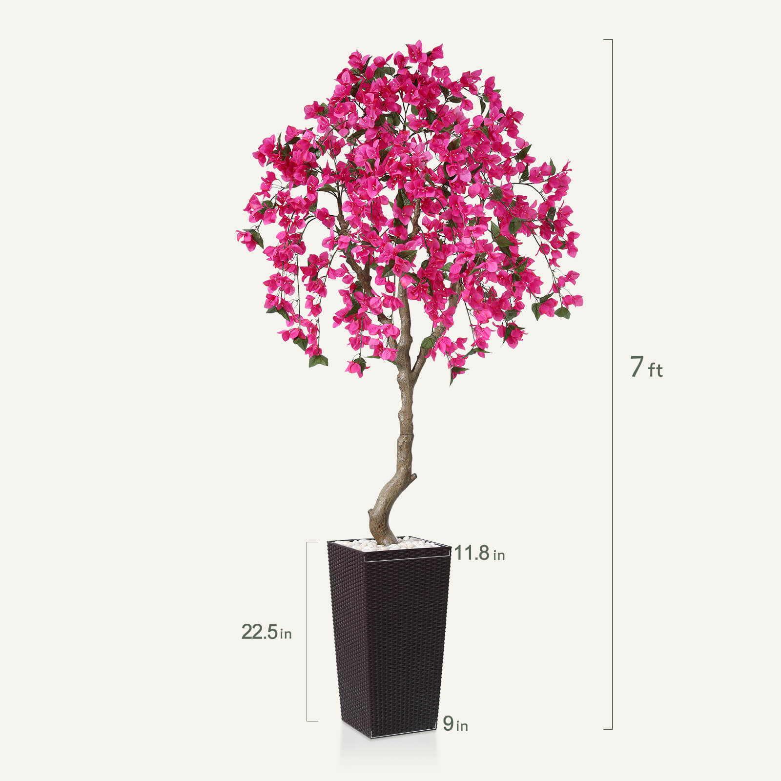 #size_7ft, #color_brown