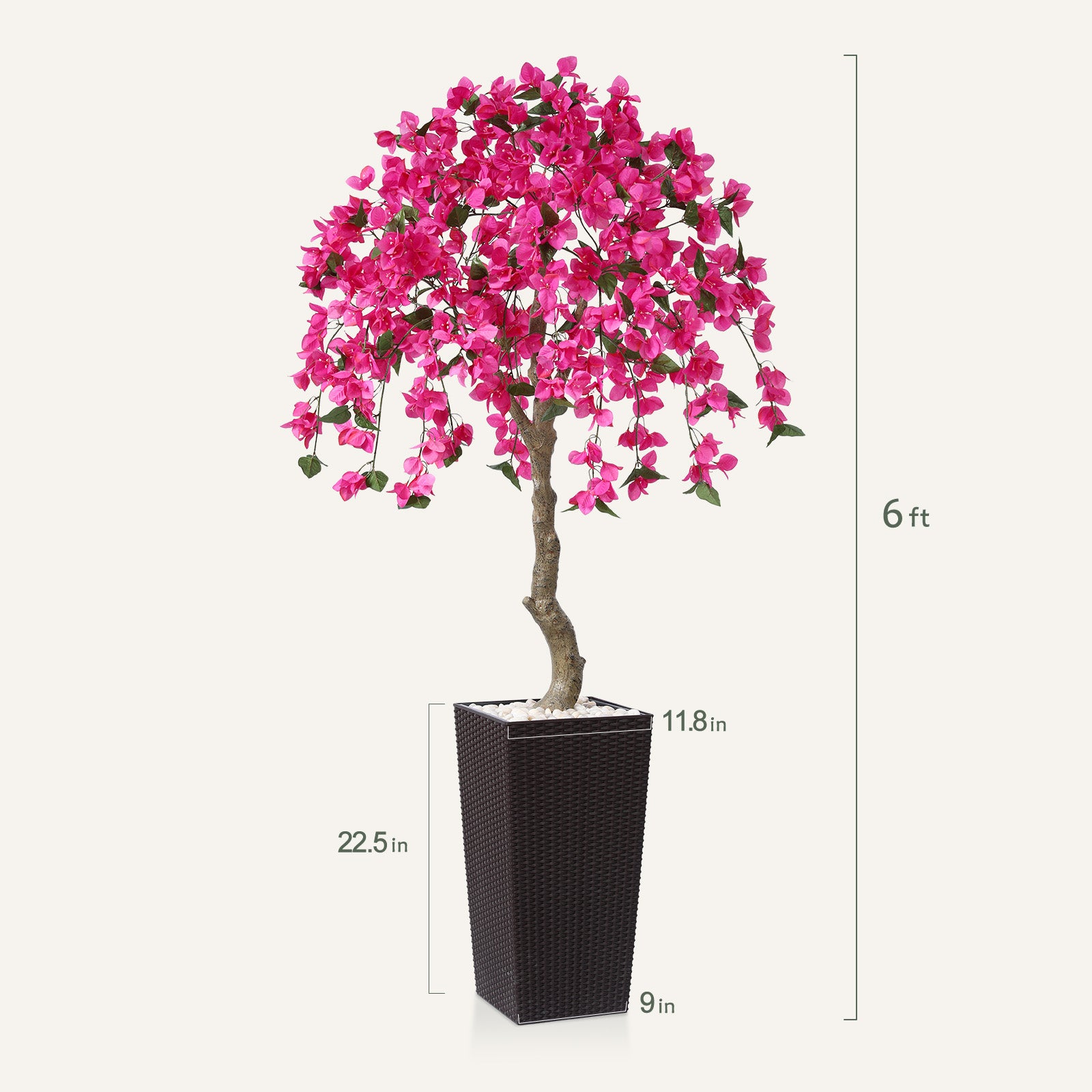 #size_6ft, #color_brown