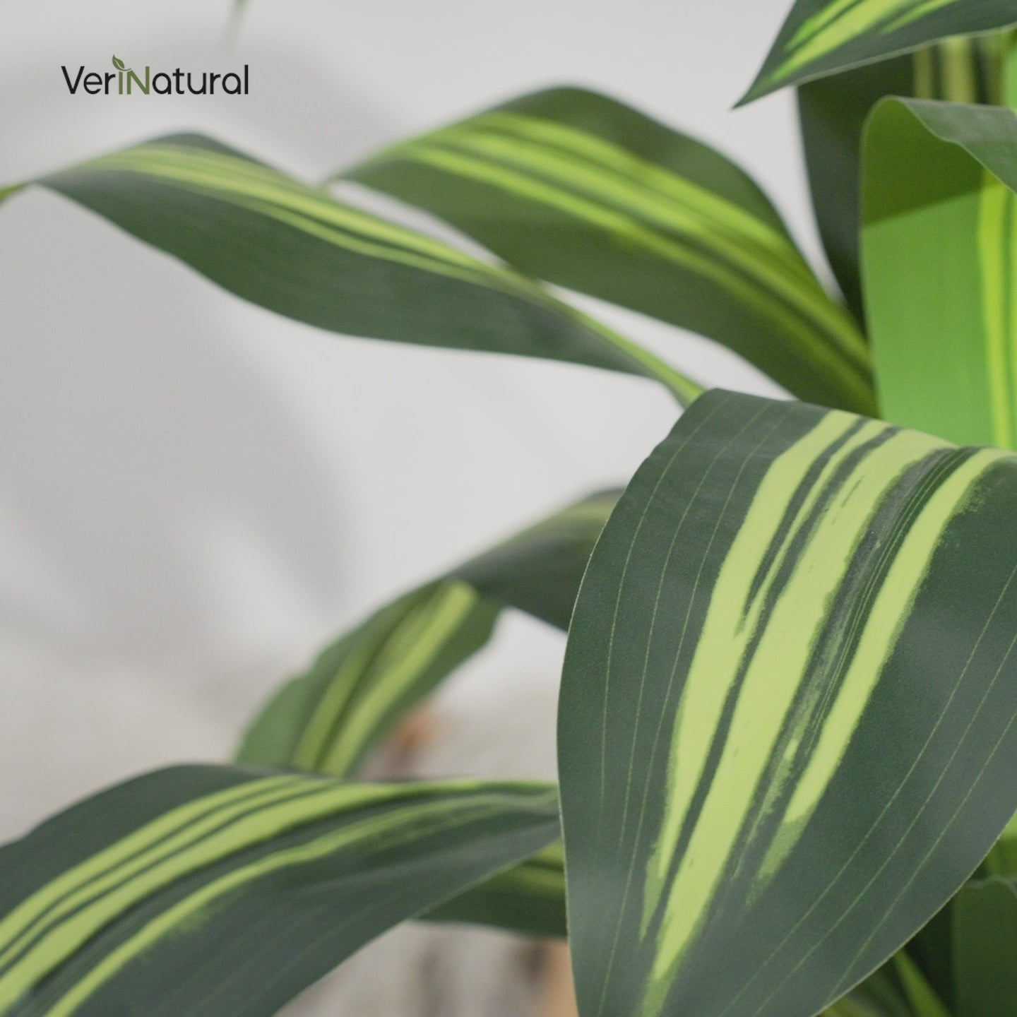 VeriNatural 4/5/6FT Artificial Dracaena Tree UV Resistant for Indoor & Outdoor (VN123)