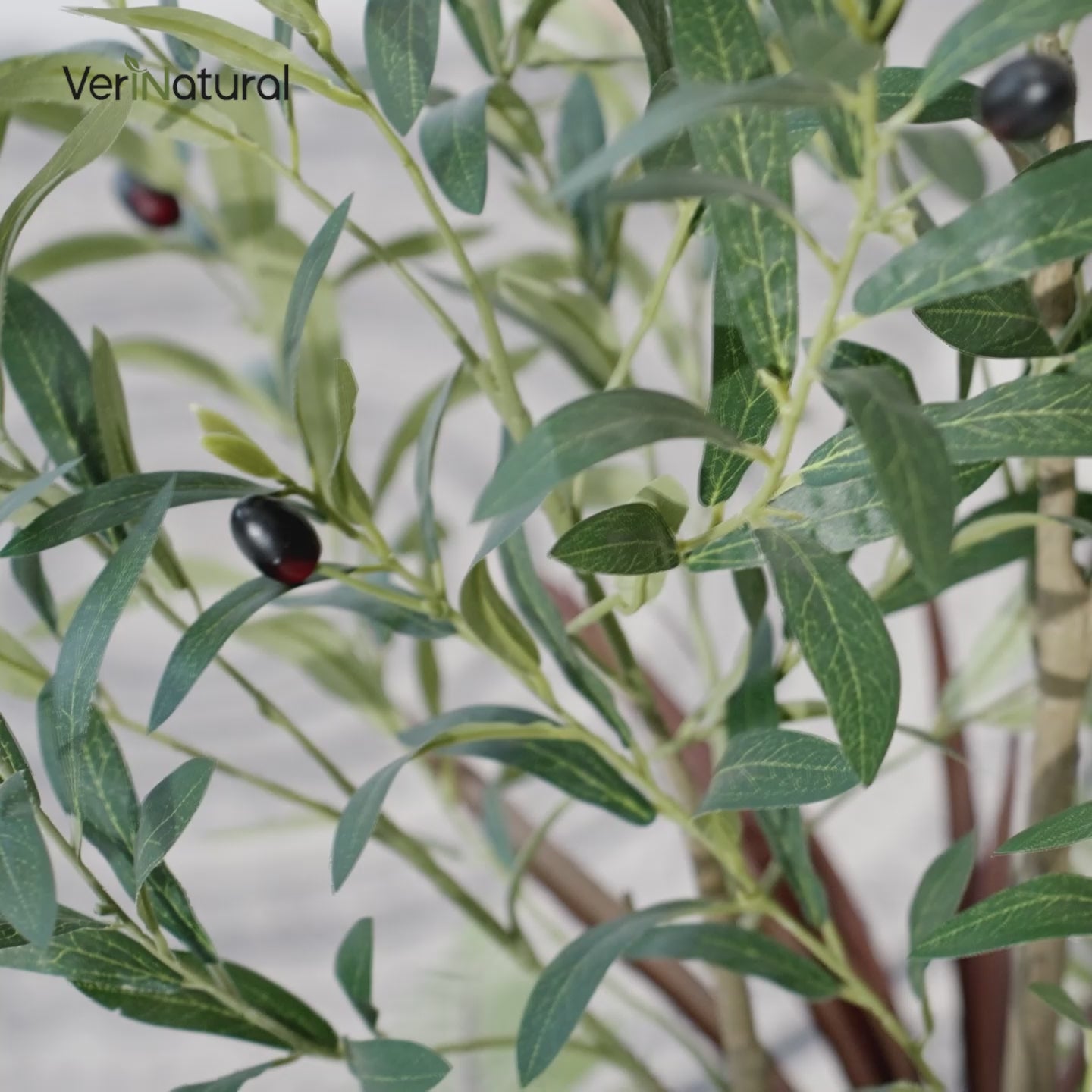 VeriNatural 4FT Mixed Fern and Olive Artificial Plants with Black Taper Planter for Indoor & Outdoor(VN149)