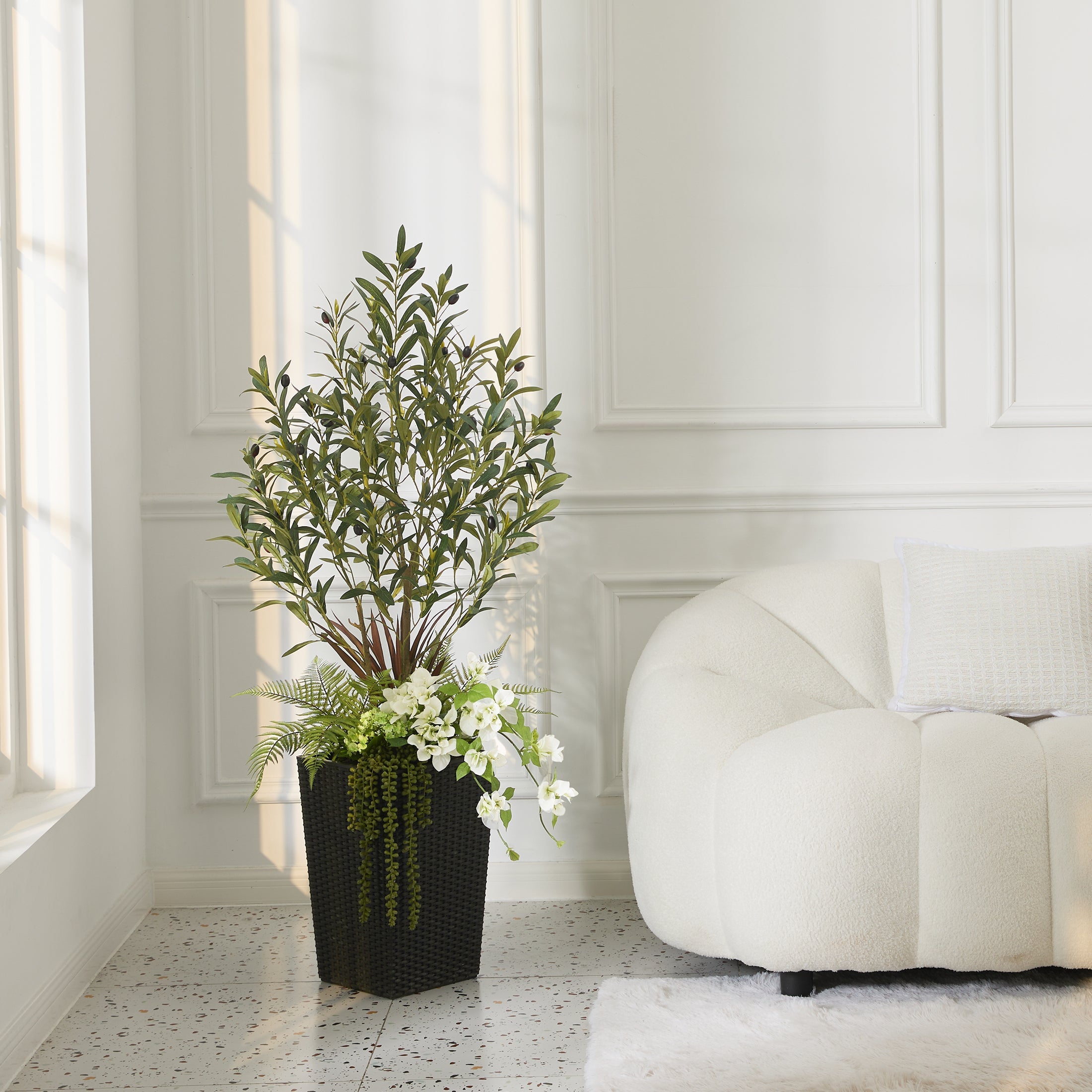 Mixed Fern and Olive