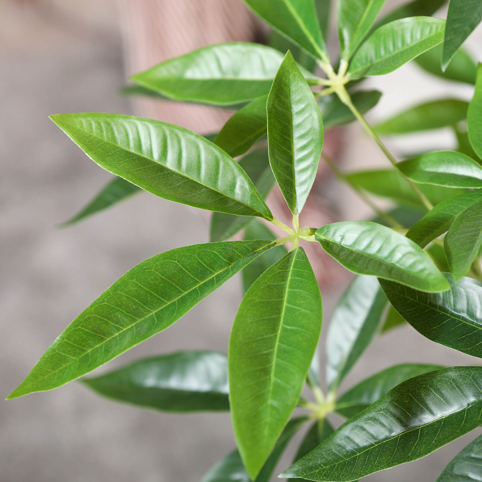 Money Trees（Artificial Trees）