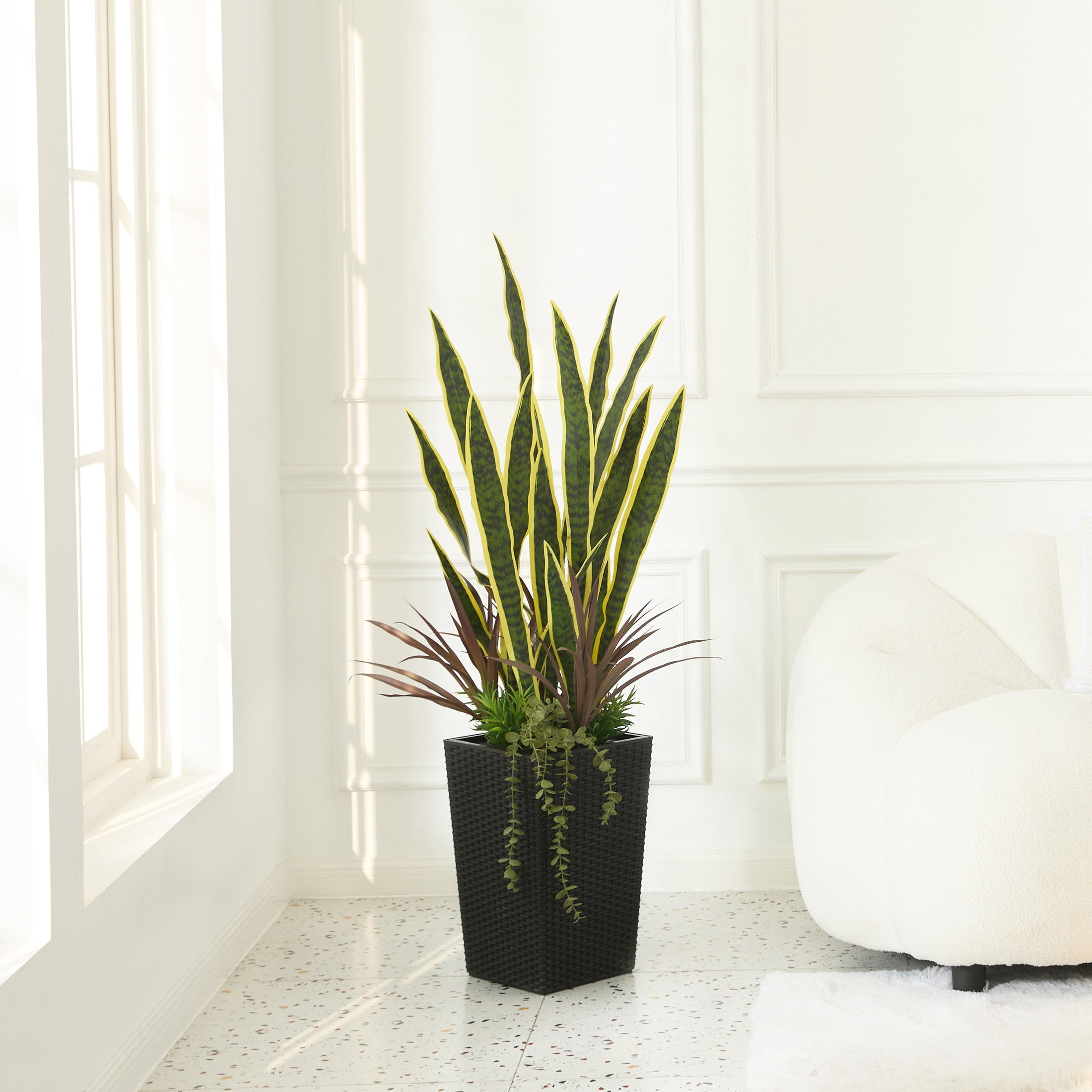 Mixed Greens and Snake plants