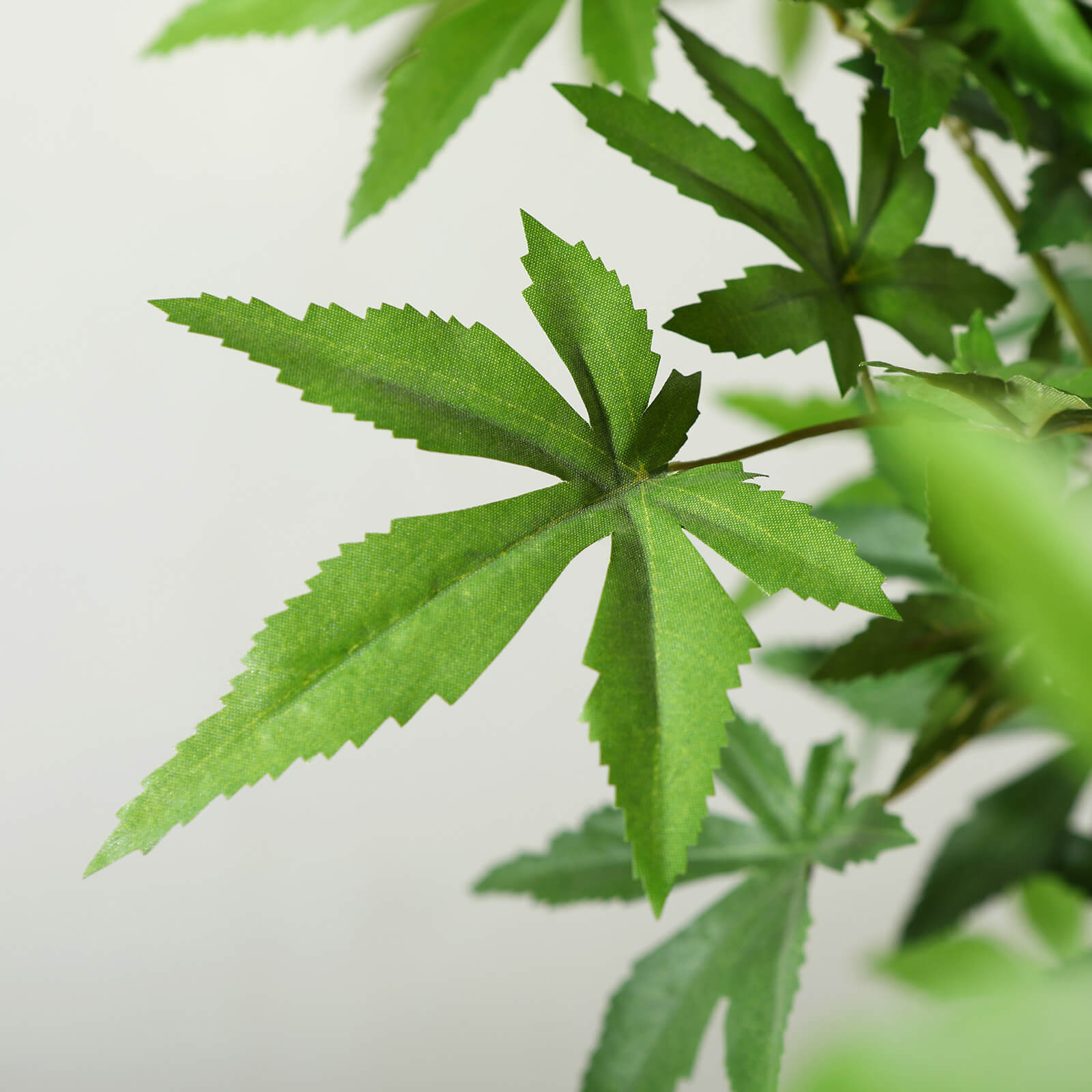 Maple Trees（Artificial Trees）
