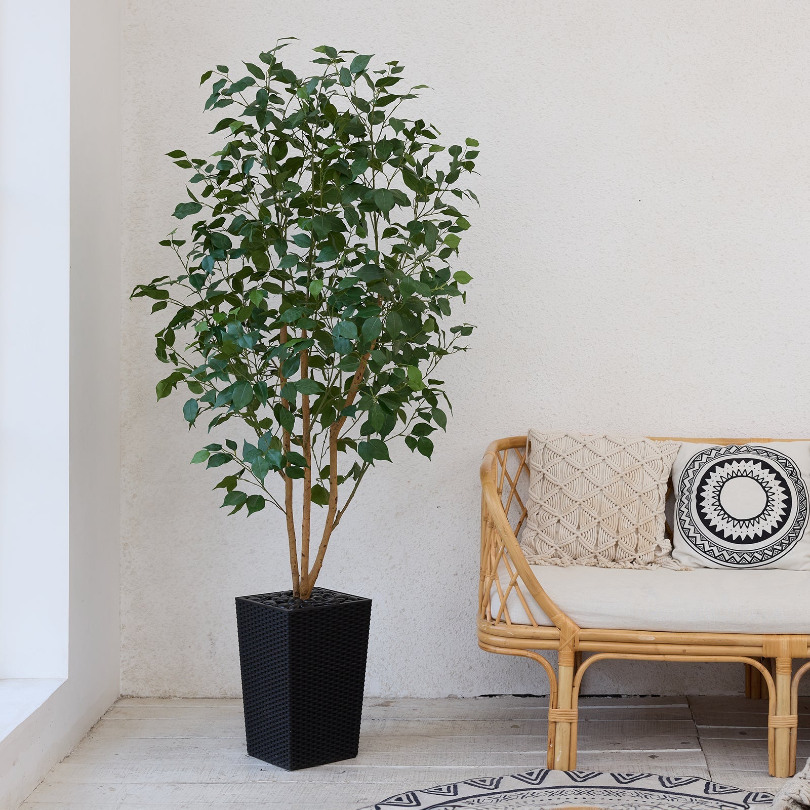Check Out Our Latest Styles! 🌿
