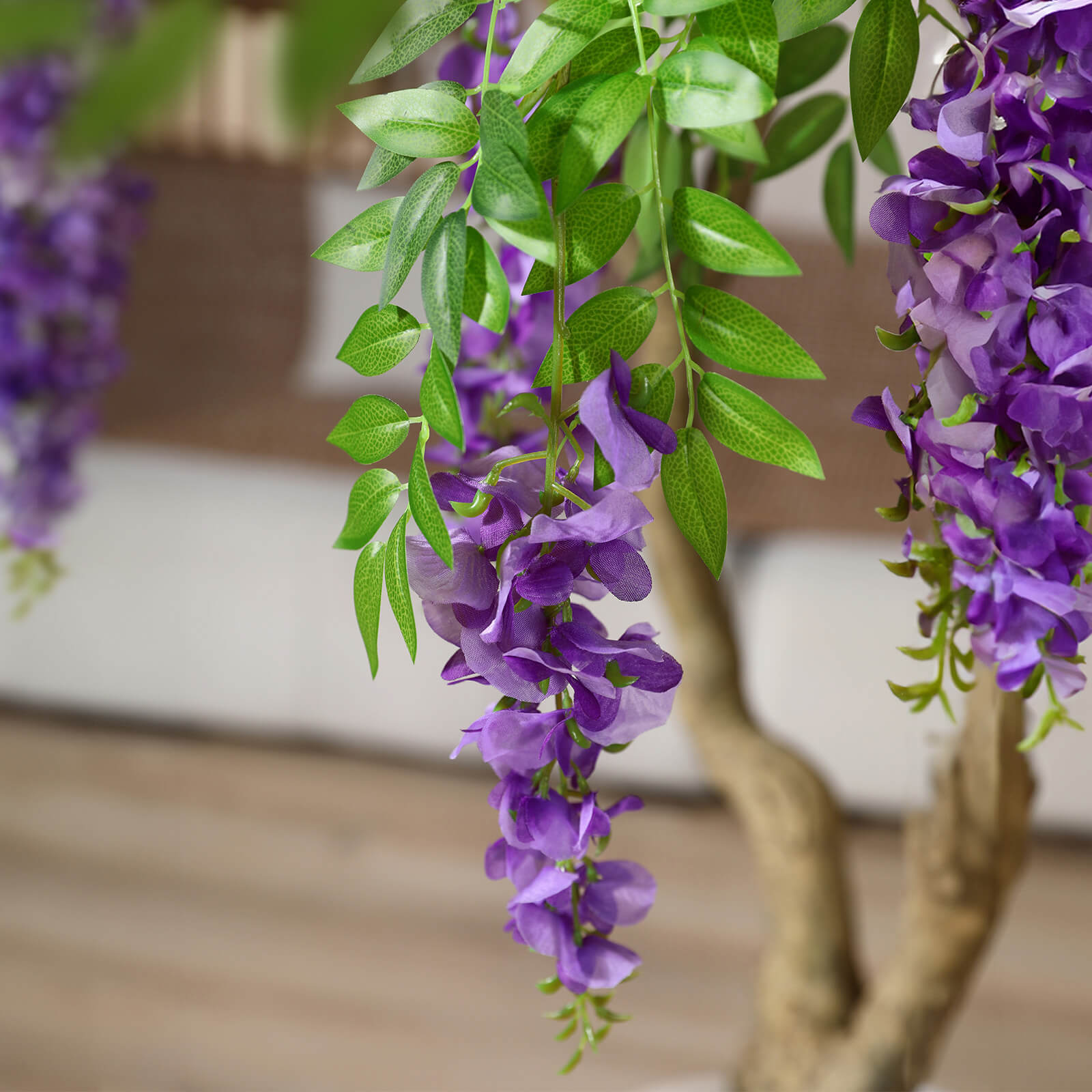 Violet Trees