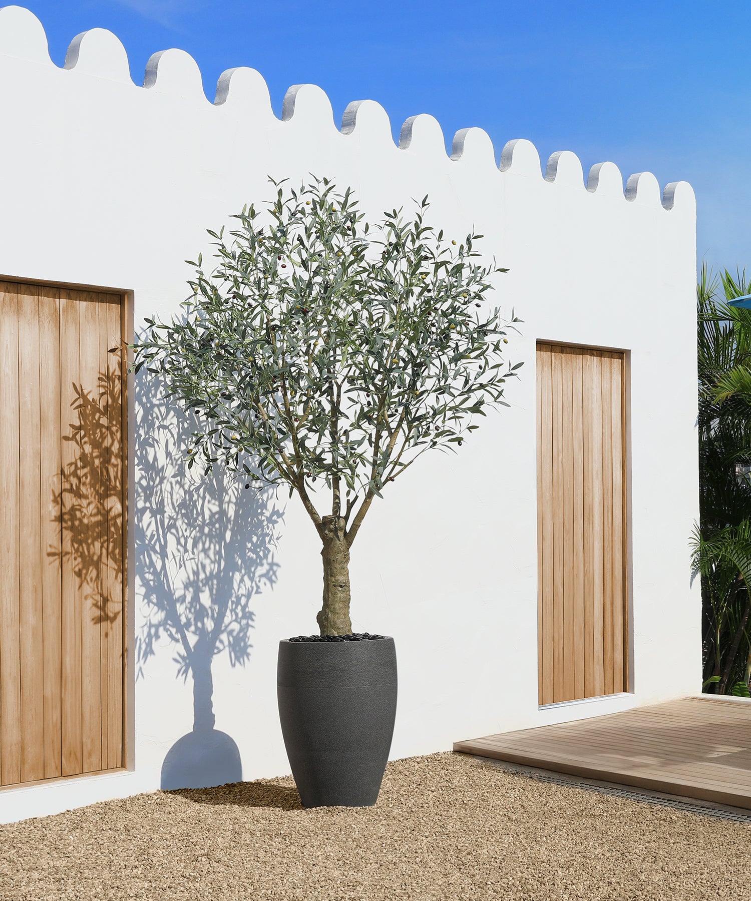 Outdoor Trees