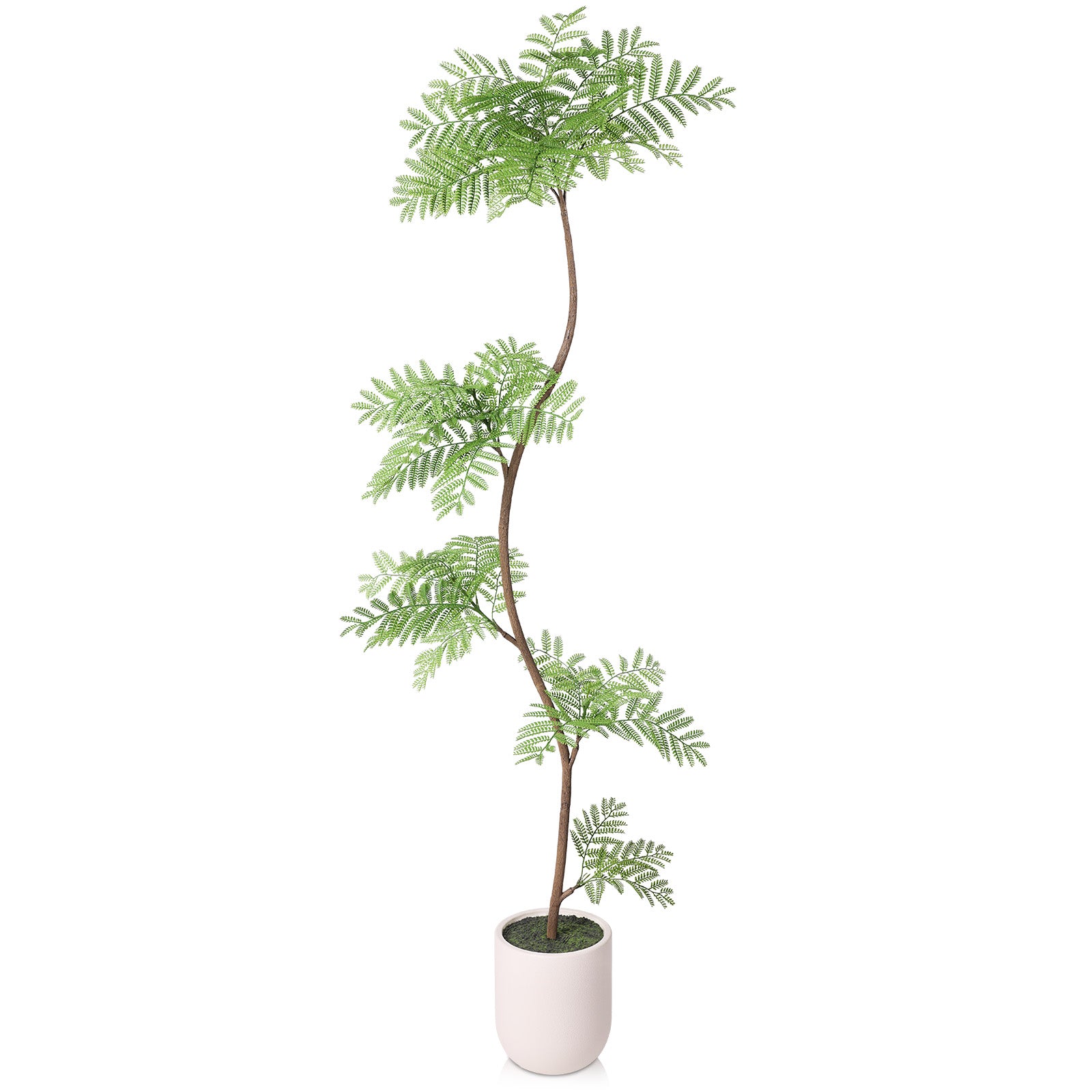 VeriNatural 7FT Artificial Jacaranda Tree in White Planter – Tall Faux Indoor Tree for Modern Home Decor（VN226）