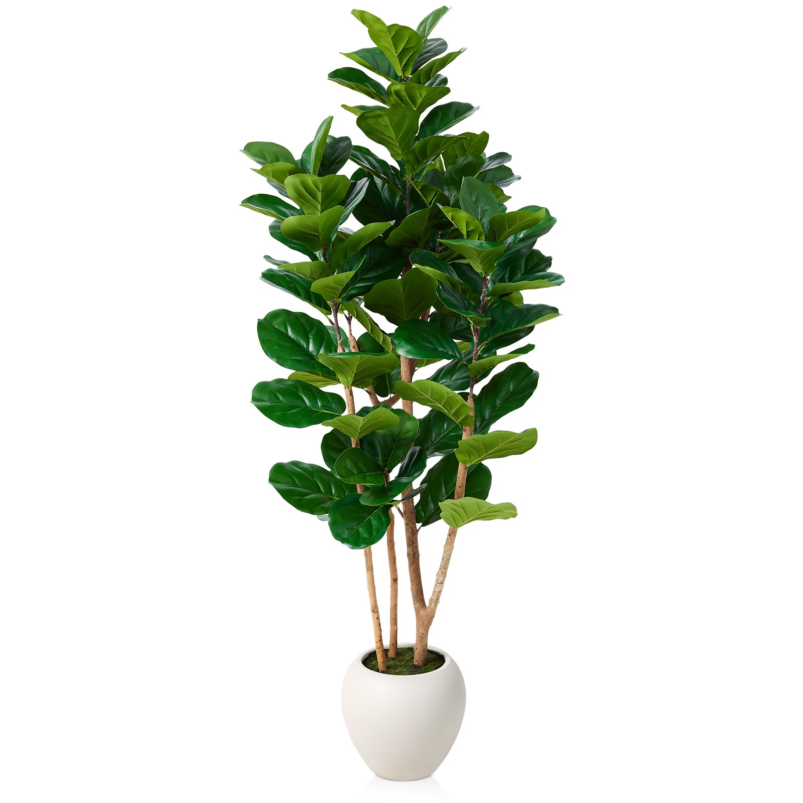 VeriNatural 6/7/8FT Artificial Fiddle Leaf Fig Tree with White Planter – Tall Faux Tree with 4 Real Wood Trunks & Real Moss, Indoor Decorative Plant for Home, Living Room & Office Decor (VN244)
