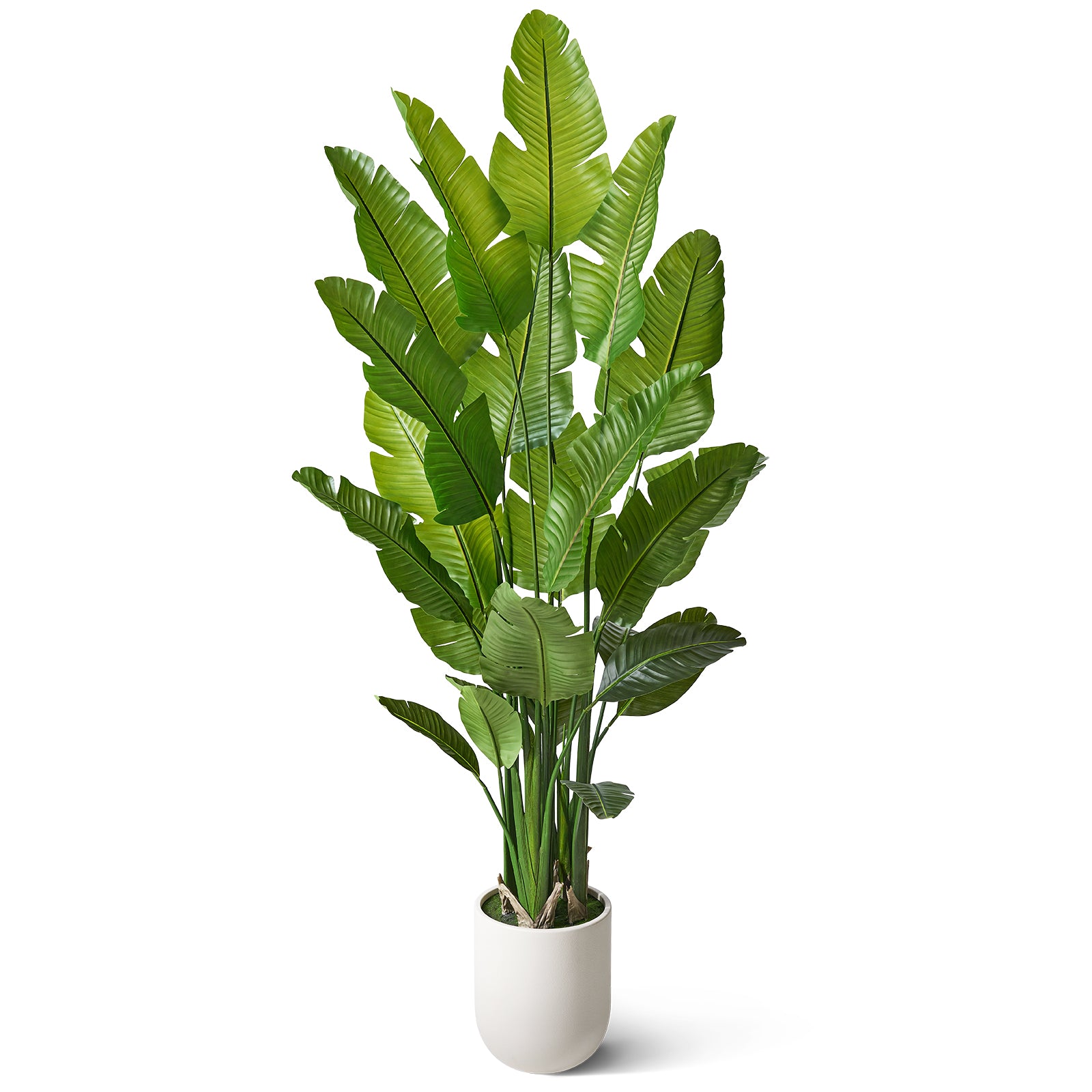 VeriNatural 6/7/8FT Artificial Bird of Paradise Tree Indoor, Large Faux Tropical Palm Plant with Realistic Trunks &  White Planter, Tall Fake Palm Tree for Living Room, Office & Home Decor (VN302)