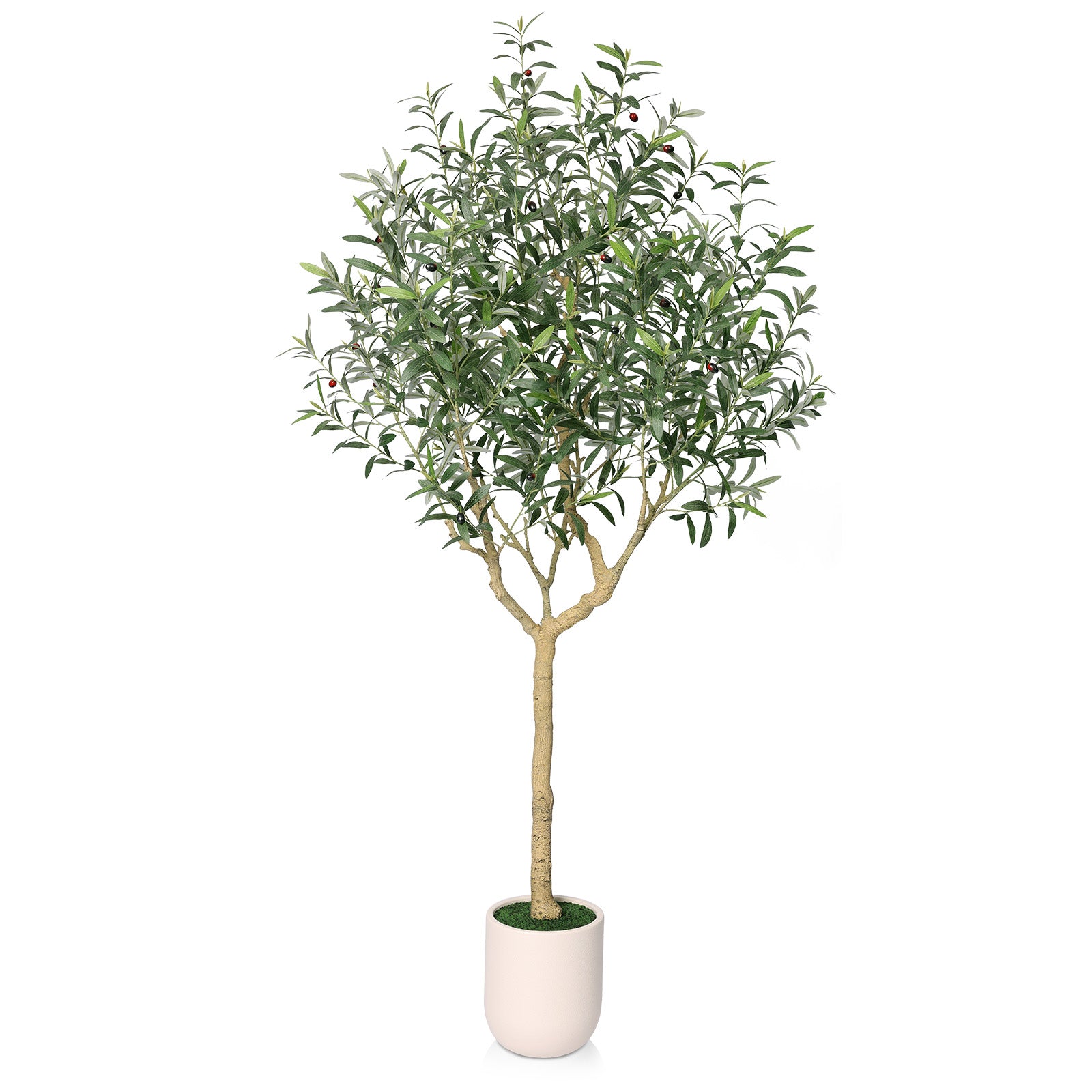 VeriNatural 8FT Artificial Olive Tree with White Tall Planter – Large Faux Olive Tree with Realistic Leaves & Lifelike Fruits for Indoor Home, Living Room & Office Decor