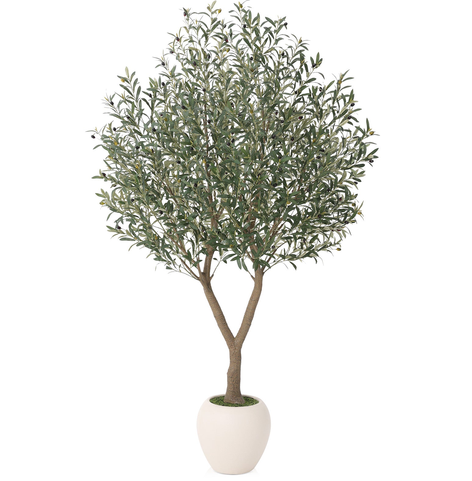 VeriNatural 8FT Artificial Olive Tree – Realistic Tall Faux Olive Tree with UV-Resistant Leaves & Fruits, White Round Planter, Indoor & Outdoor Home, Office & Living Room Decor (VN210)