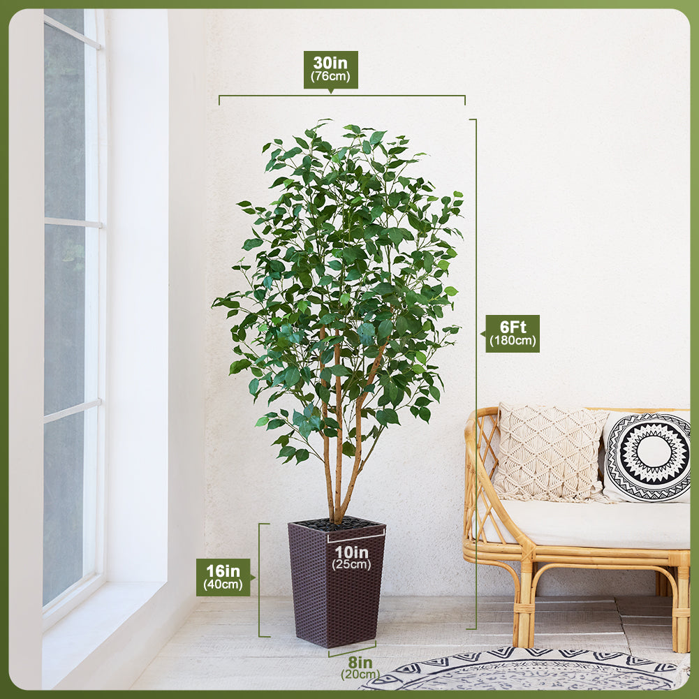 VeriNatural 5/6FT Natural Trunk Artificial Ficus Tree UV Resistant with Black/White Taper Planter for Indoor & Outdoor（VN129）