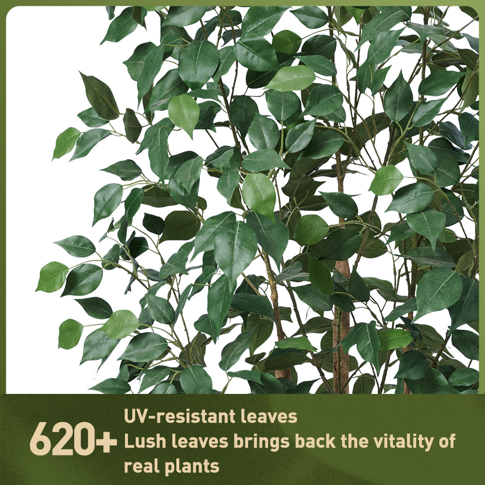 VeriNatural 5/6FT Natural Trunk Artificial Ficus Tree UV Resistant with Black/White Taper Planter for Indoor & Outdoor（VN129）