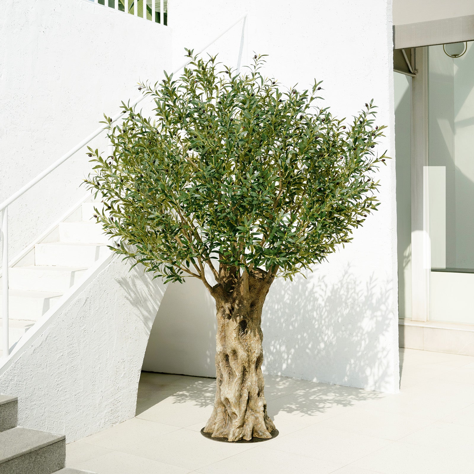 VeriNatural Eterna Olive Tree – 8FT Premium Artificial Tree with Thick Trunk & UV Protection for Indoor & Outdoor Spaces(VN161)