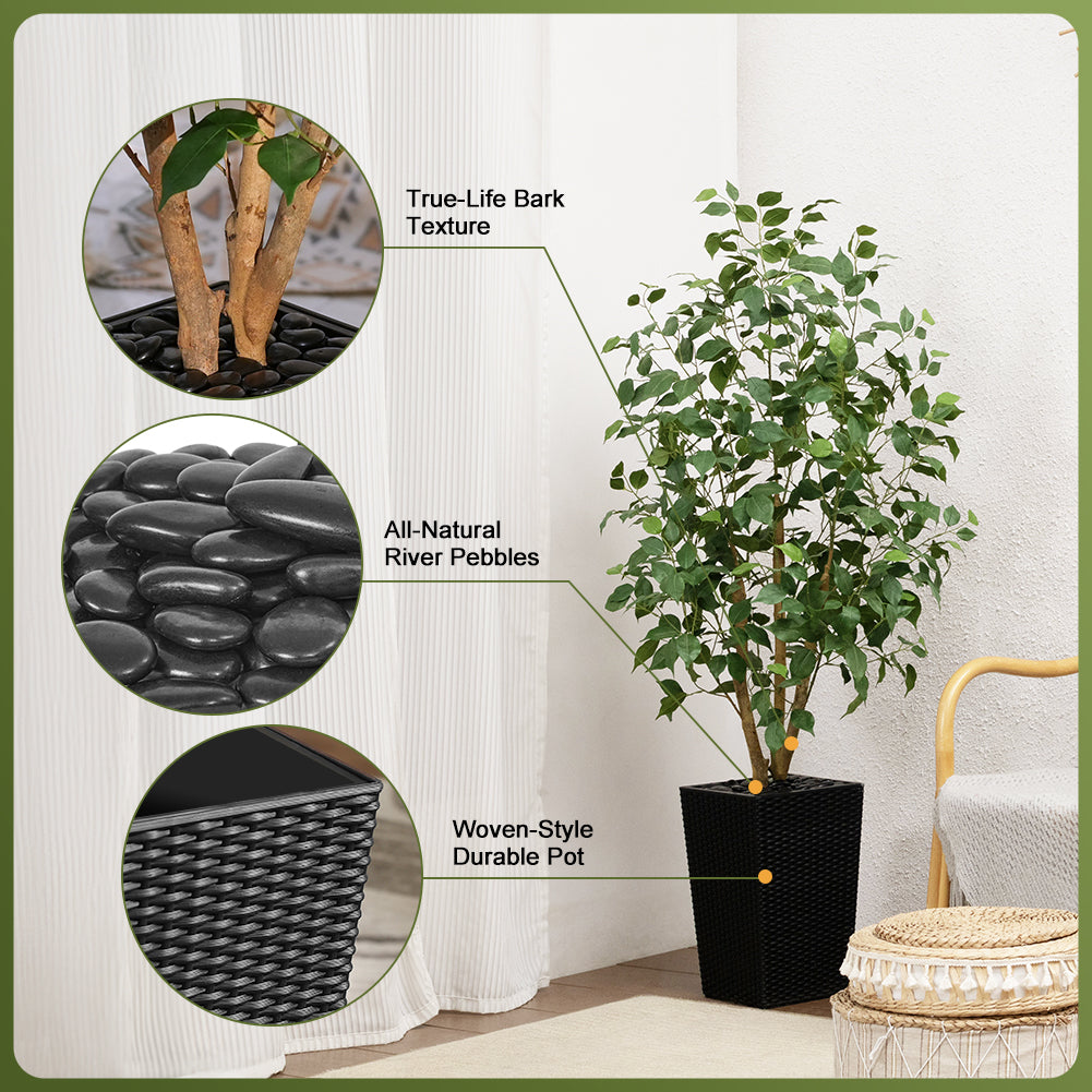 VeriNatural 5/6FT Natural Trunk Artificial Ficus Tree UV Resistant with Black/White Taper Planter for Indoor & Outdoor（VN129）