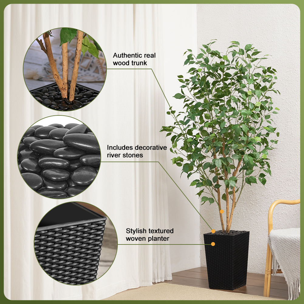 VeriNatural 5/6FT Natural Trunk Artificial Ficus Tree UV Resistant with Black/White Taper Planter for Indoor & Outdoor（VN129）