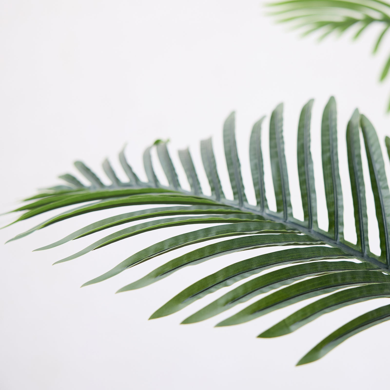 VeriNatural 4/5/6FT UV Resistant Artificial Plam Tree for Indoor & Outdoor (1/2-Pack)（VN125）