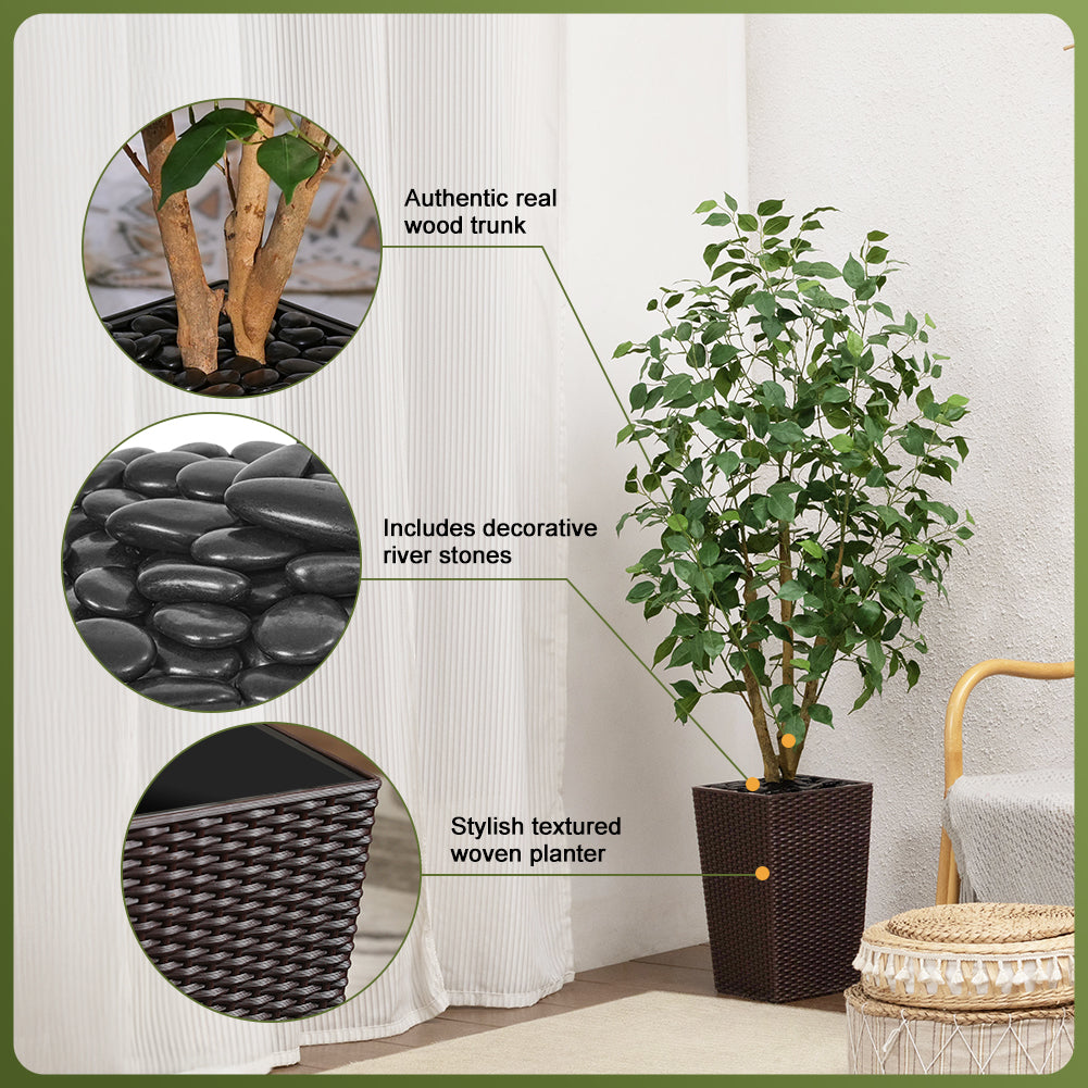 VeriNatural 5/6FT Natural Trunk Artificial Ficus Tree UV Resistant with Black/White Taper Planter for Indoor & Outdoor（VN129）