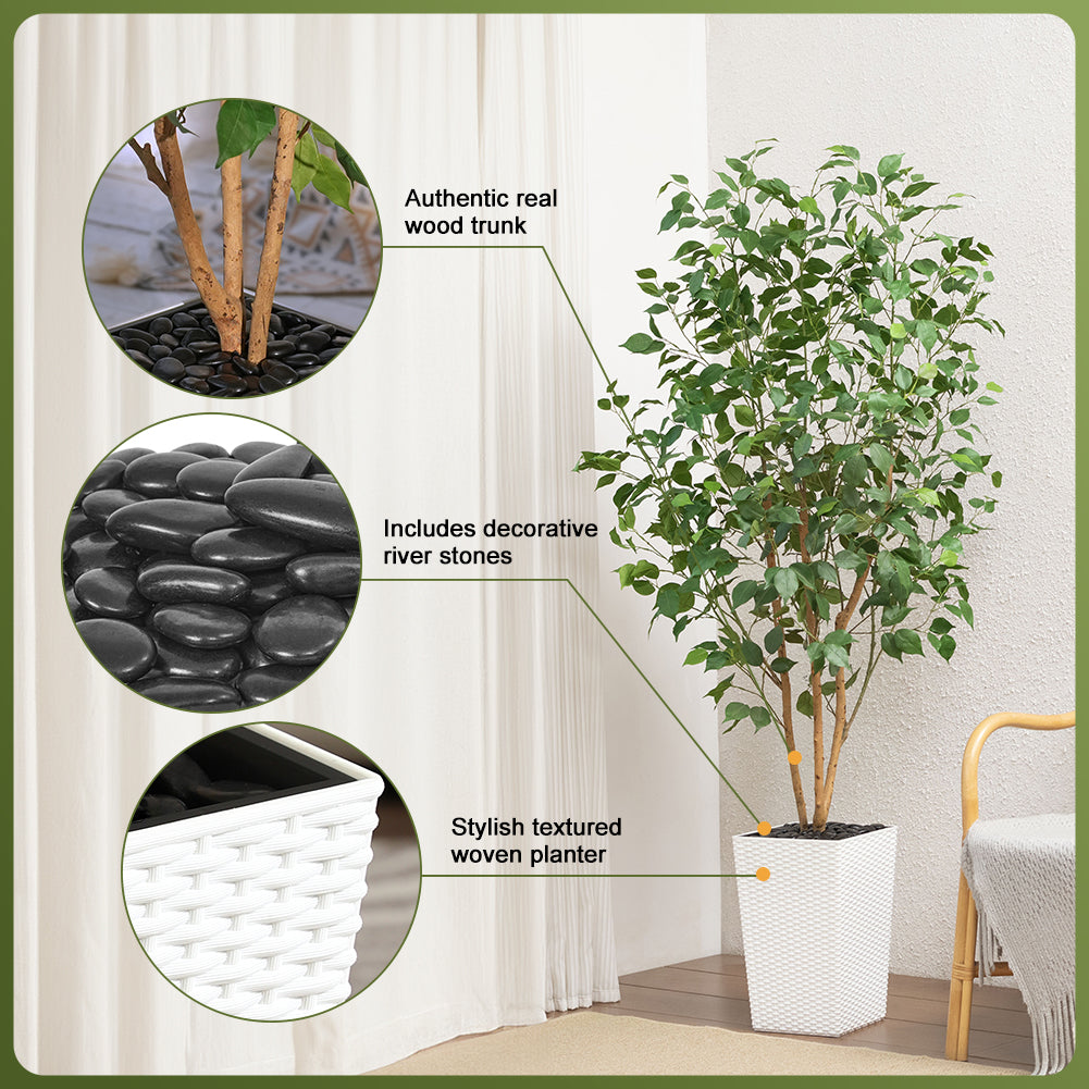VeriNatural 5/6FT Natural Trunk Artificial Ficus Tree UV Resistant with Black/White Taper Planter for Indoor & Outdoor（VN129）