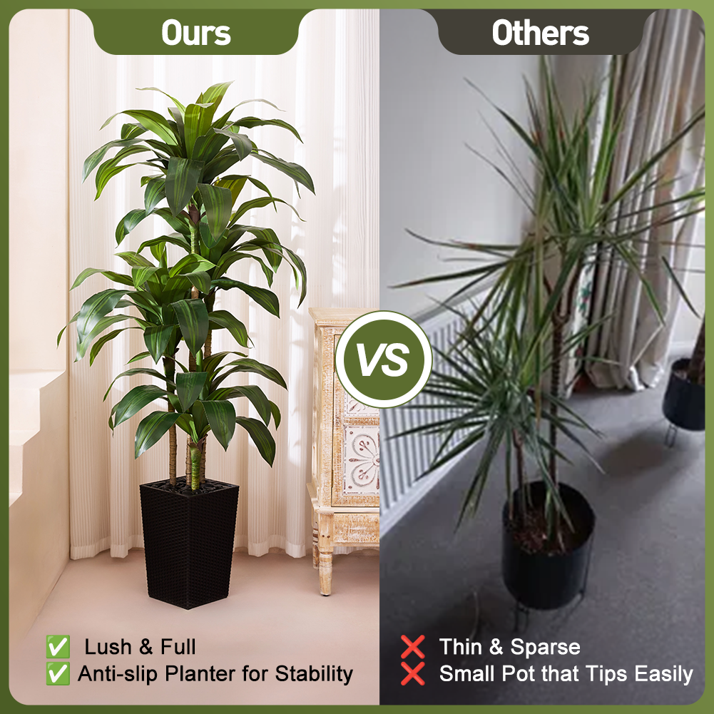VeriNatural 5/6FT Artificial Dracaena Tree UV Resistant with Black Taper Planter for Indoor & Outdoor  (VN127)