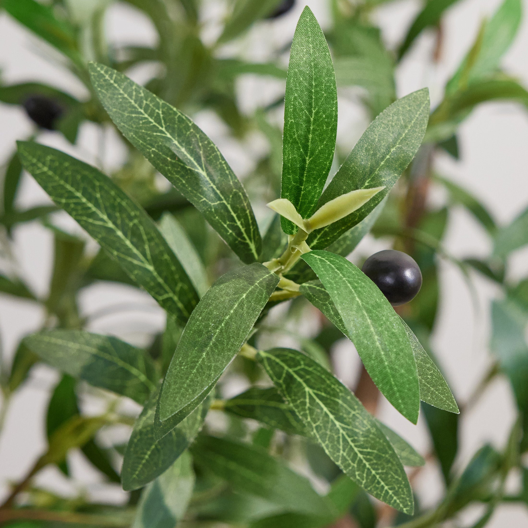 VeriNatural 5/6/7FT Artificial Olive Tree – Realistic Faux Indoor Plant with White Planter, Tall Fake Tree for Home, Office & Living Room Decor