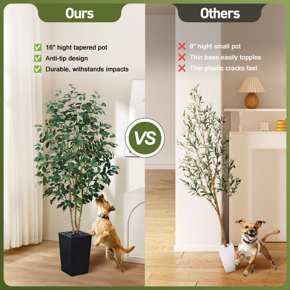 VeriNatural 5/6FT Natural Trunk Artificial Ficus Tree UV Resistant with Black/White Taper Planter for Indoor & Outdoor（VN129）